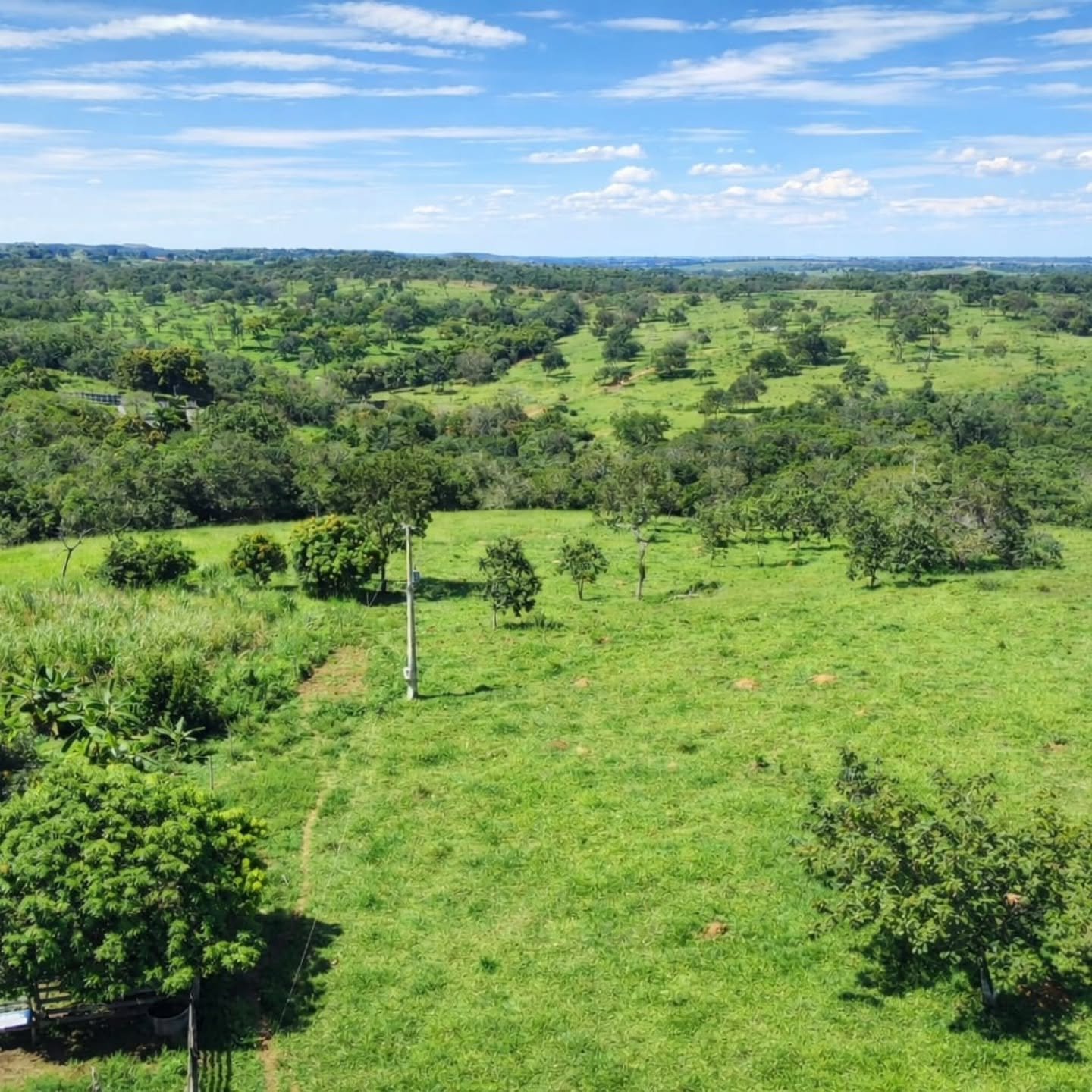 CHÁCARA À VENDA – OPORTUNIDADE! | Catalão-GO | 9,68 hectares — foto 6