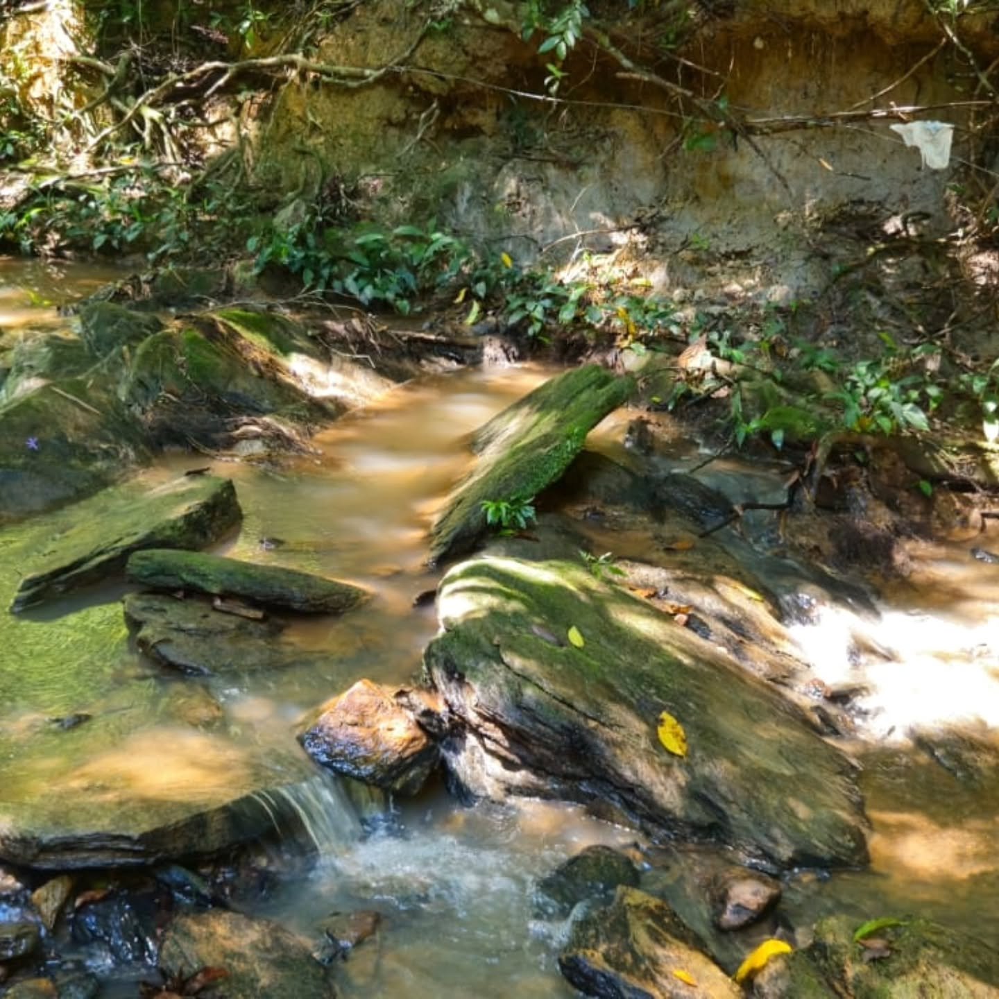 CHÁCARA À VENDA – OPORTUNIDADE! | Catalão-GO | 9,68 hectares — foto 7