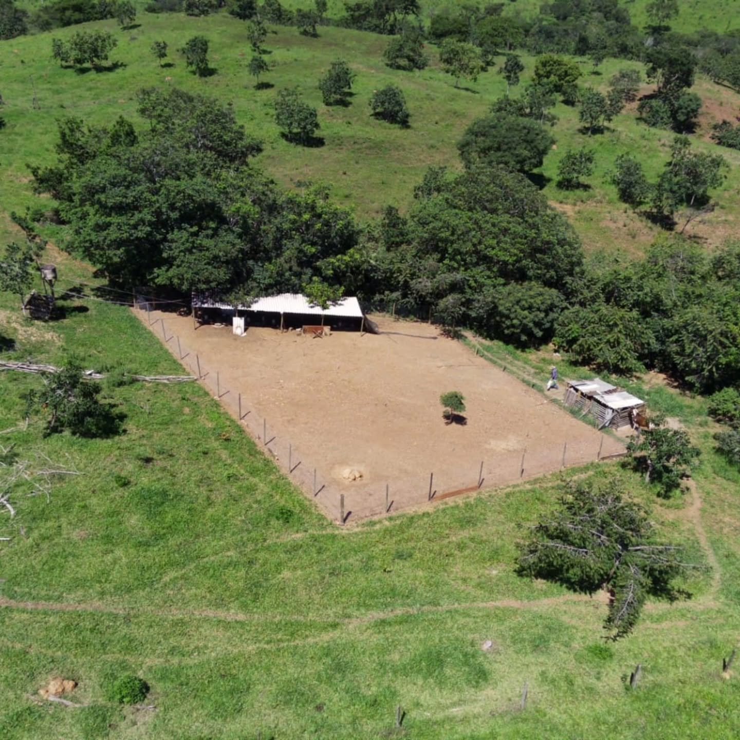 CHÁCARA À VENDA – OPORTUNIDADE! | Catalão-GO | 9,68 hectares — foto 8