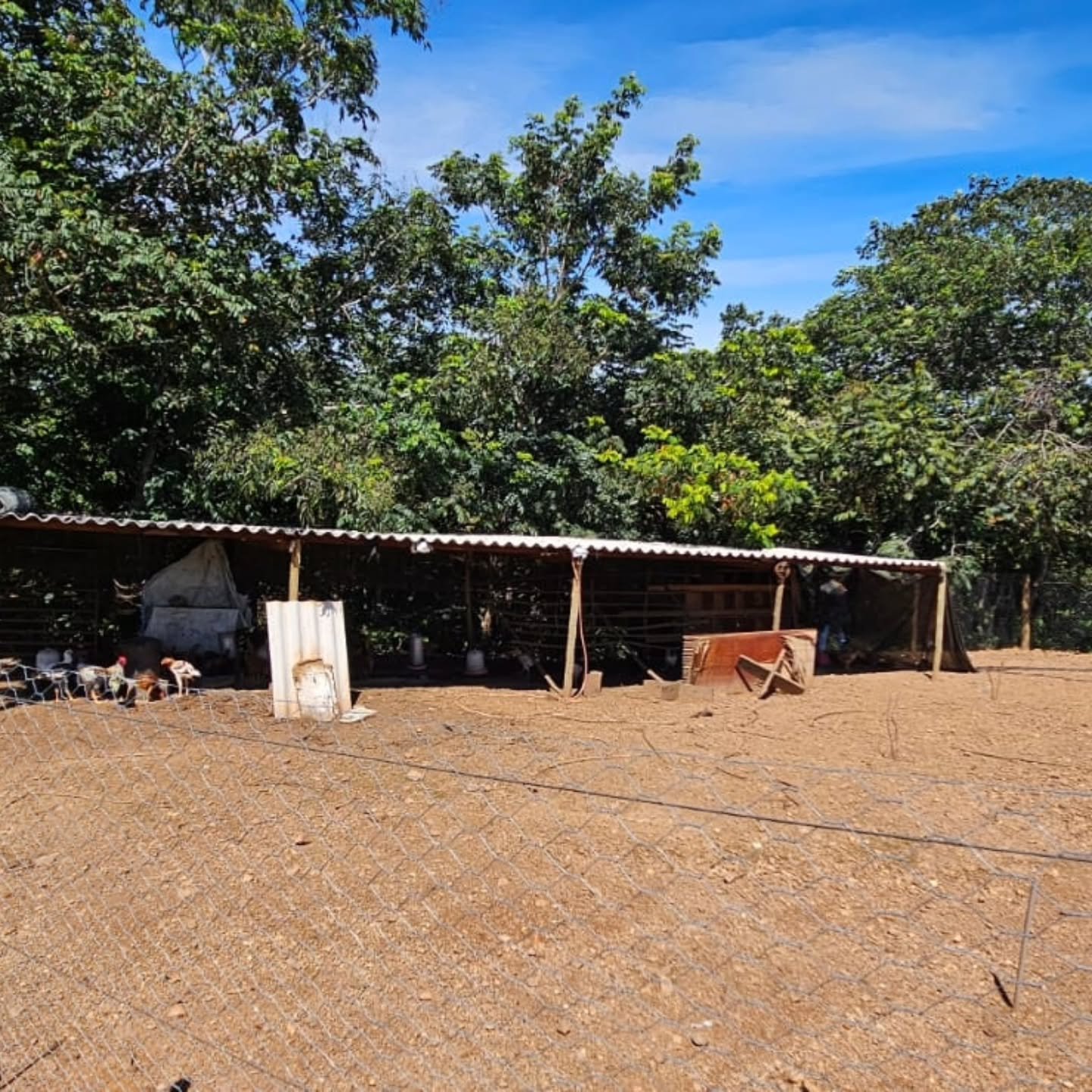CHÁCARA À VENDA – OPORTUNIDADE! | Catalão-GO | 9,68 hectares — foto 10
