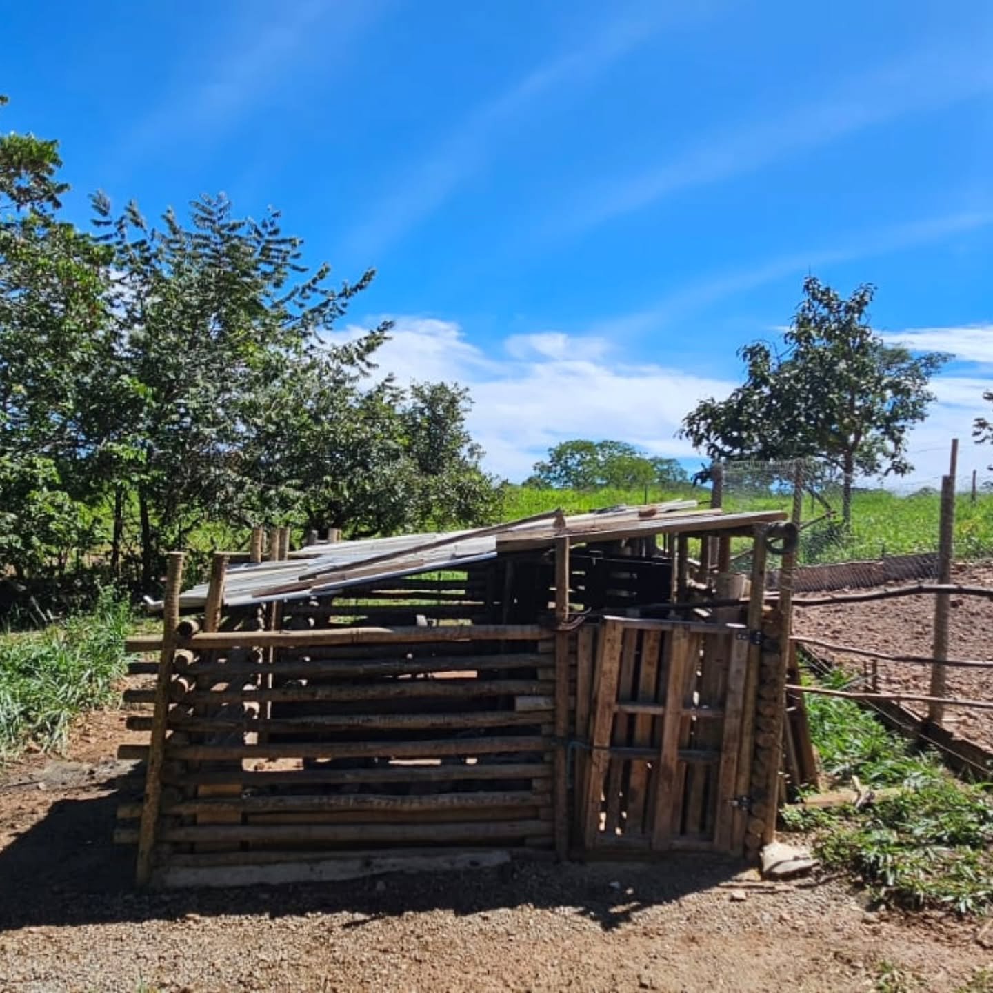 CHÁCARA À VENDA – OPORTUNIDADE! | Catalão-GO | 9,68 hectares — foto 11