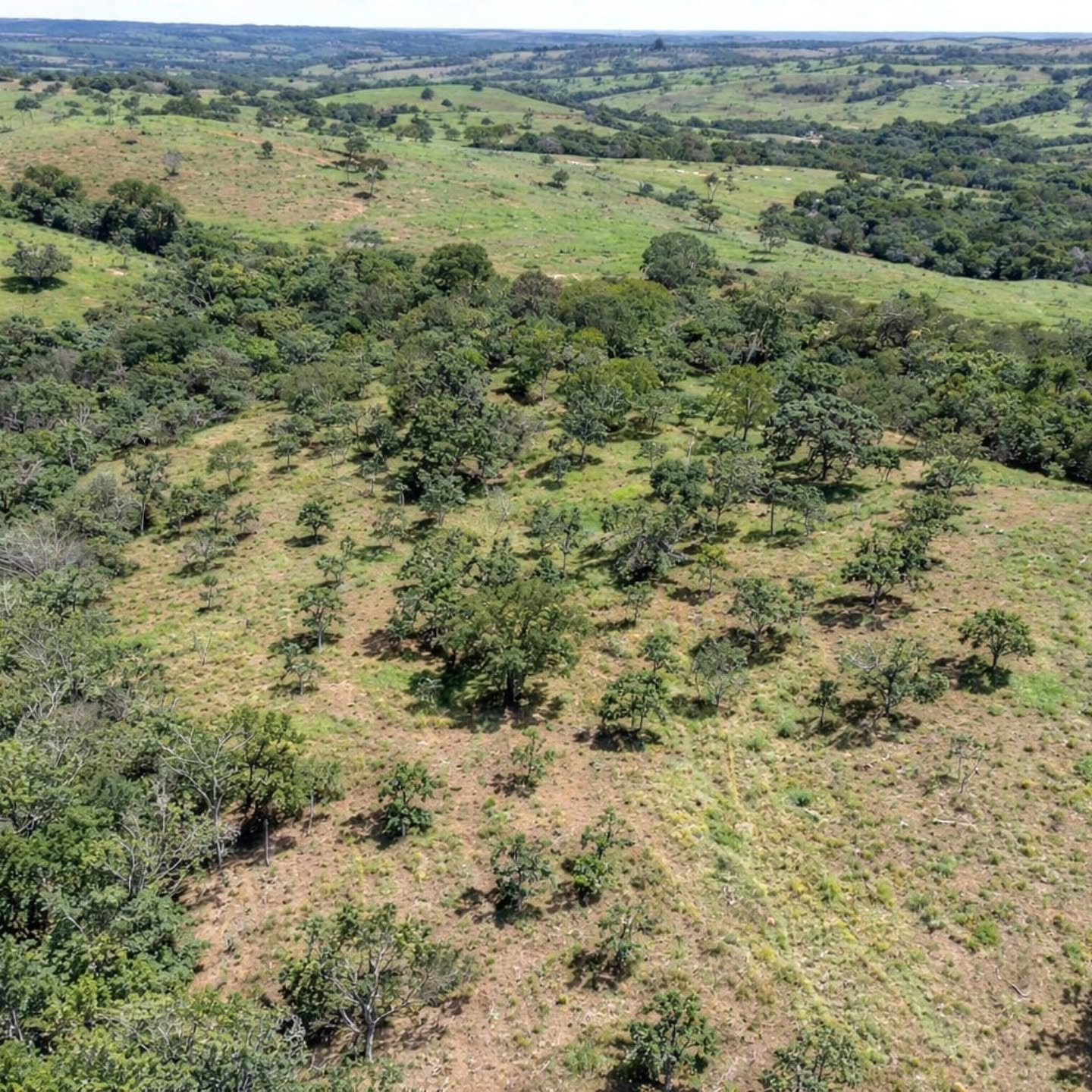 CHÁCARA À VENDA – OPORTUNIDADE! | Catalão-GO | 9,68 hectares — foto 14