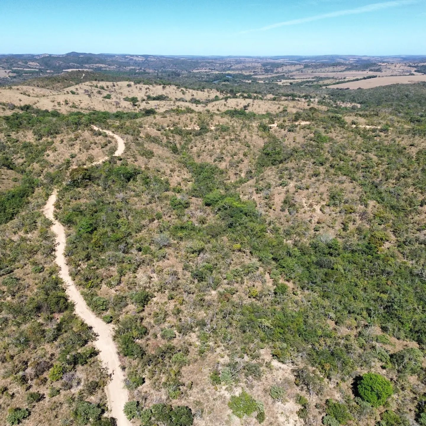 terra para criação de gado à venda | davinópolis/go | Davinópolis-GO | 26,62 hectares — foto 1