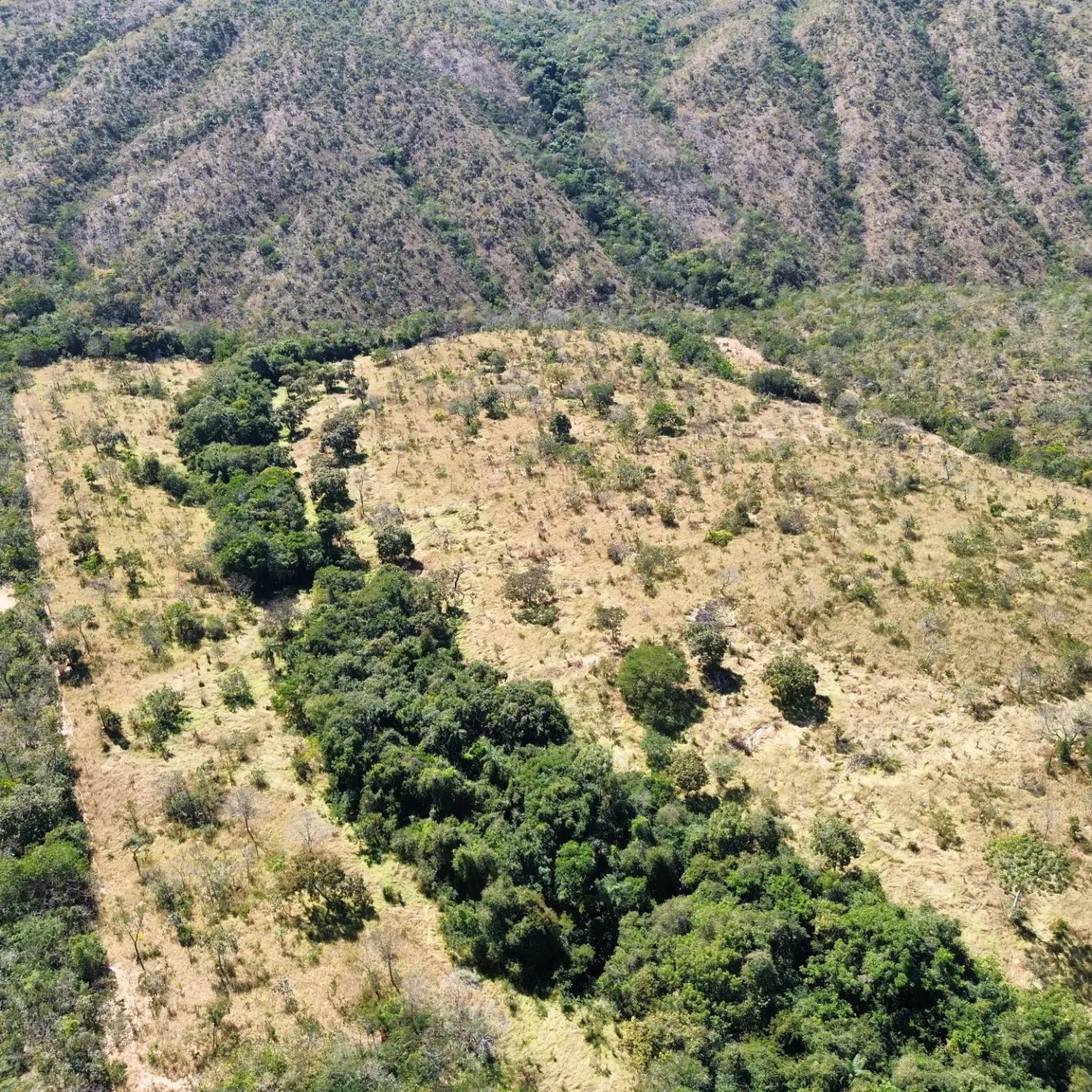 terra para criação de gado à venda | davinópolis/go | Davinópolis-GO | 26,62 hectares — foto 2