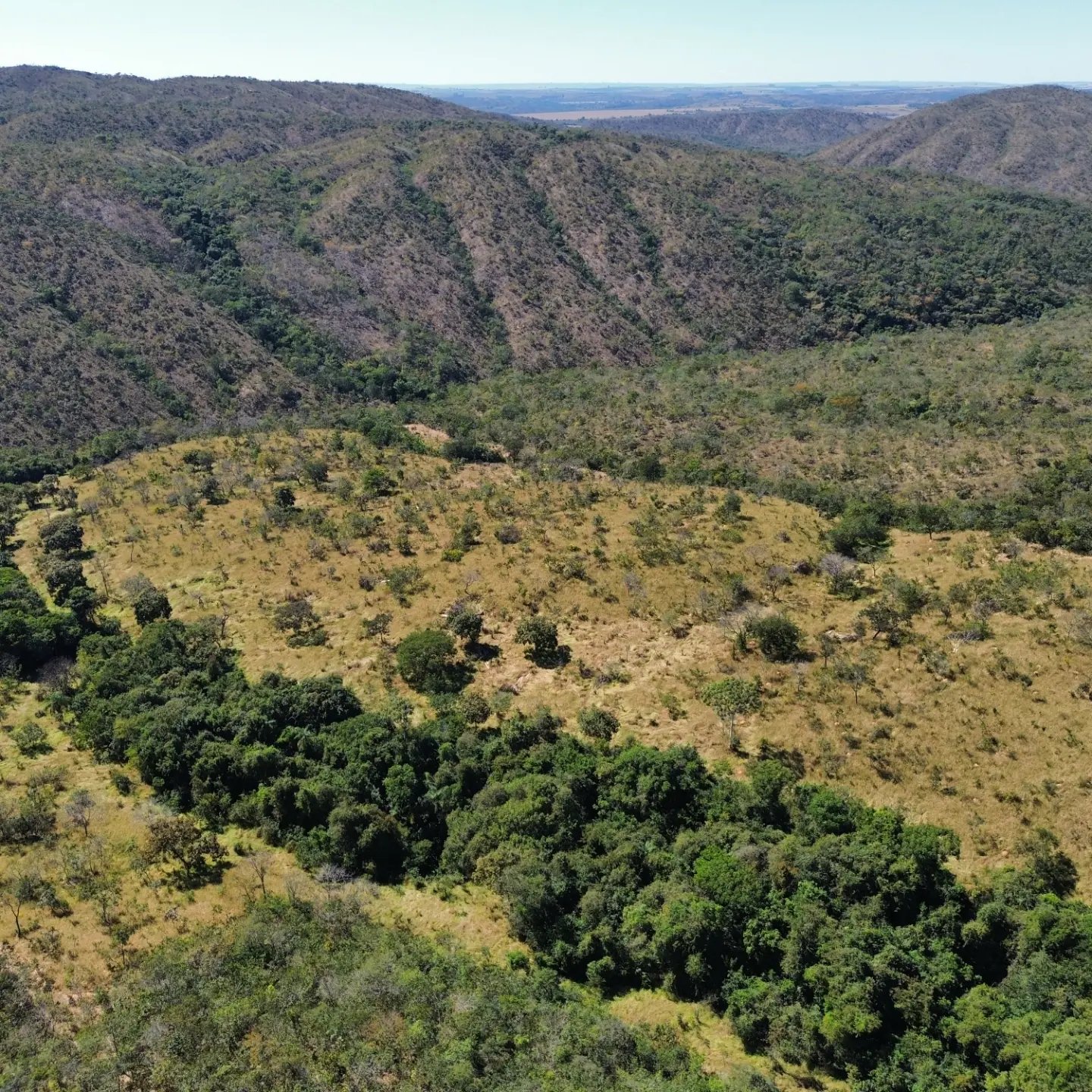 terra para criação de gado à venda | davinópolis/go | Davinópolis-GO | 26,62 hectares — foto 3