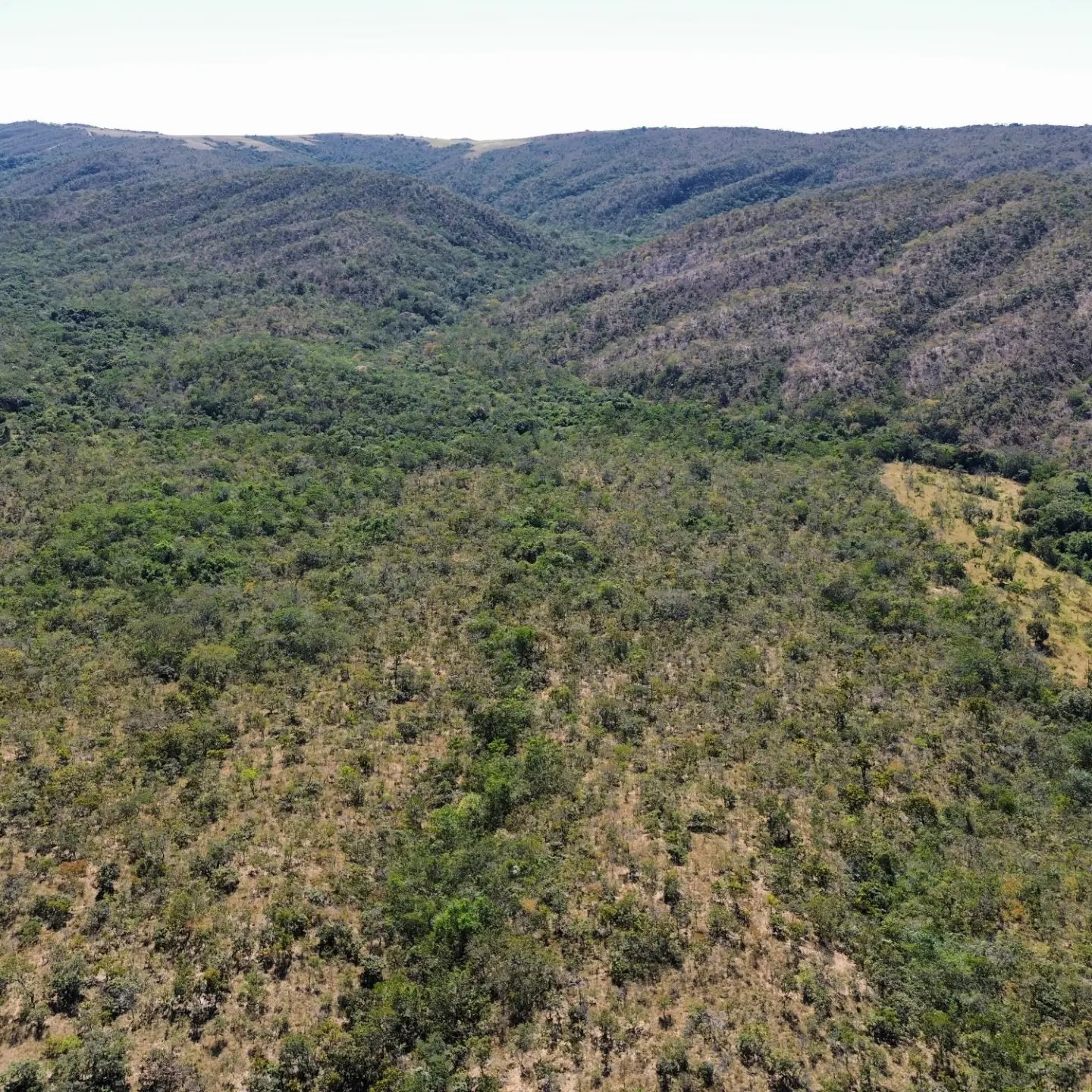 terra para criação de gado à venda | davinópolis/go | Davinópolis-GO | 26,62 hectares — foto 4