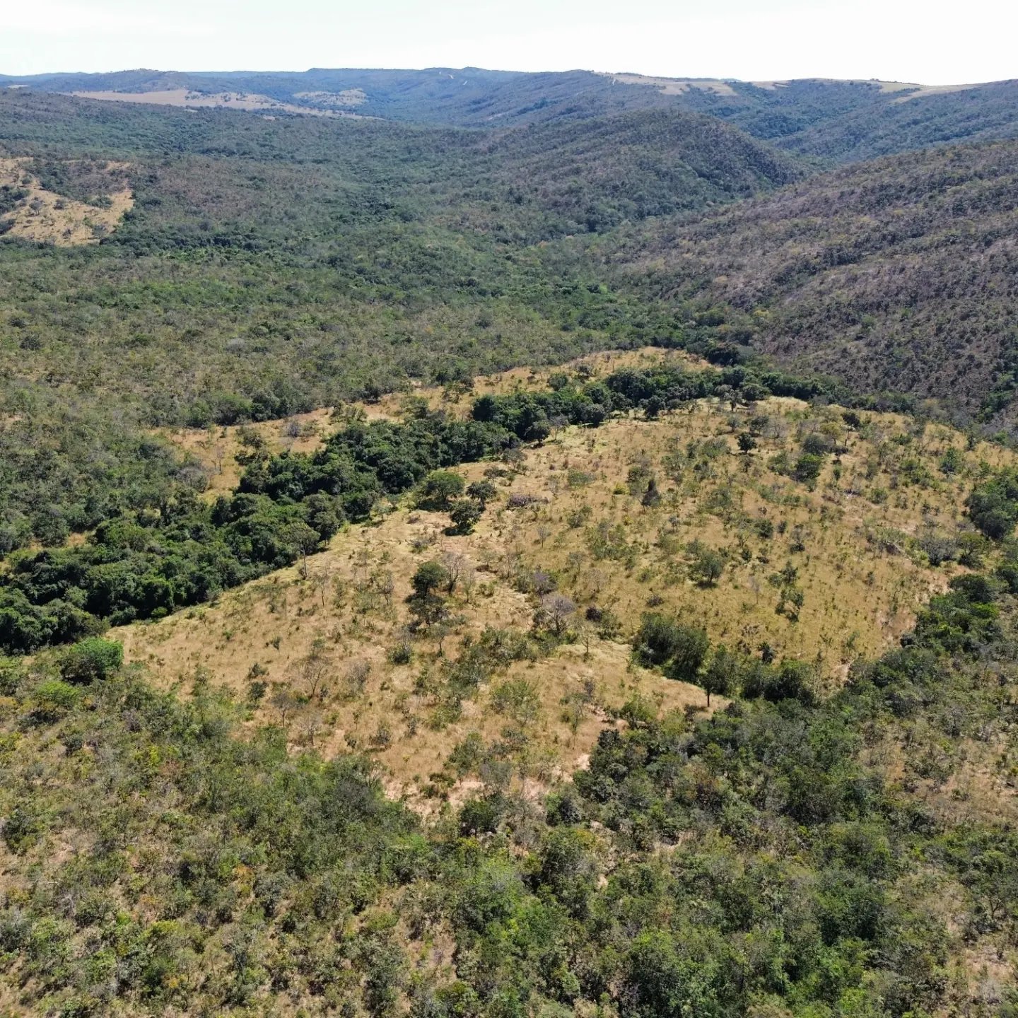 terra para criação de gado à venda | davinópolis/go | Davinópolis-GO | 26,62 hectares — foto 5