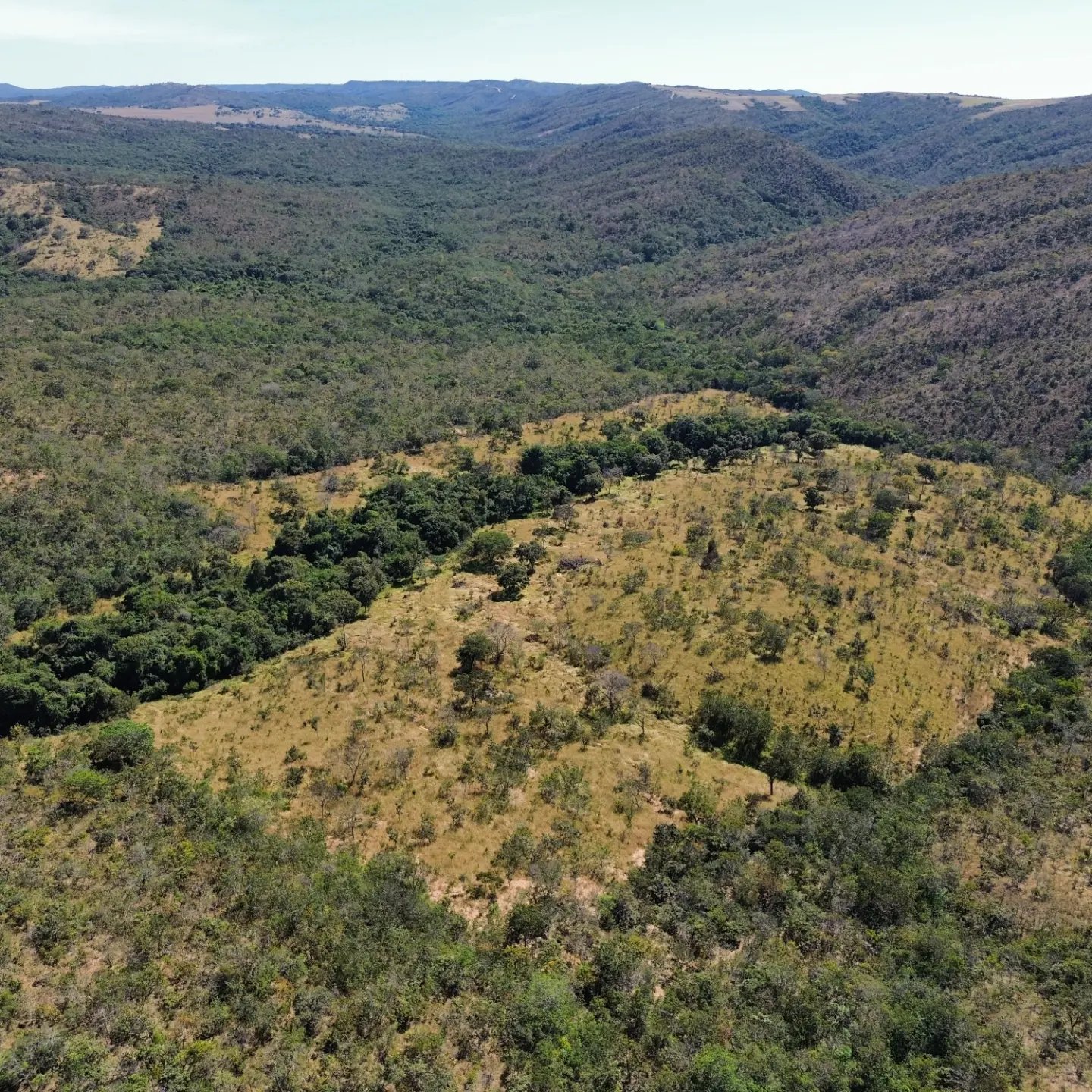 terra para criação de gado à venda | davinópolis/go | Davinópolis-GO | 26,62 hectares — foto 6