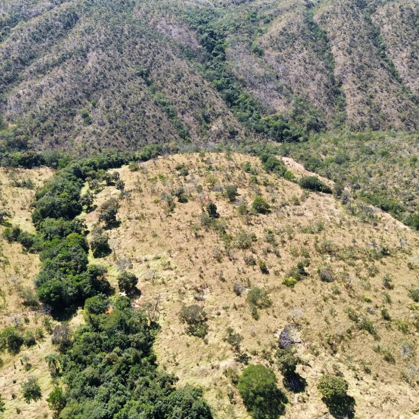 terra para criação de gado à venda | davinópolis/go | Davinópolis-GO | 26,62 hectares — foto 8