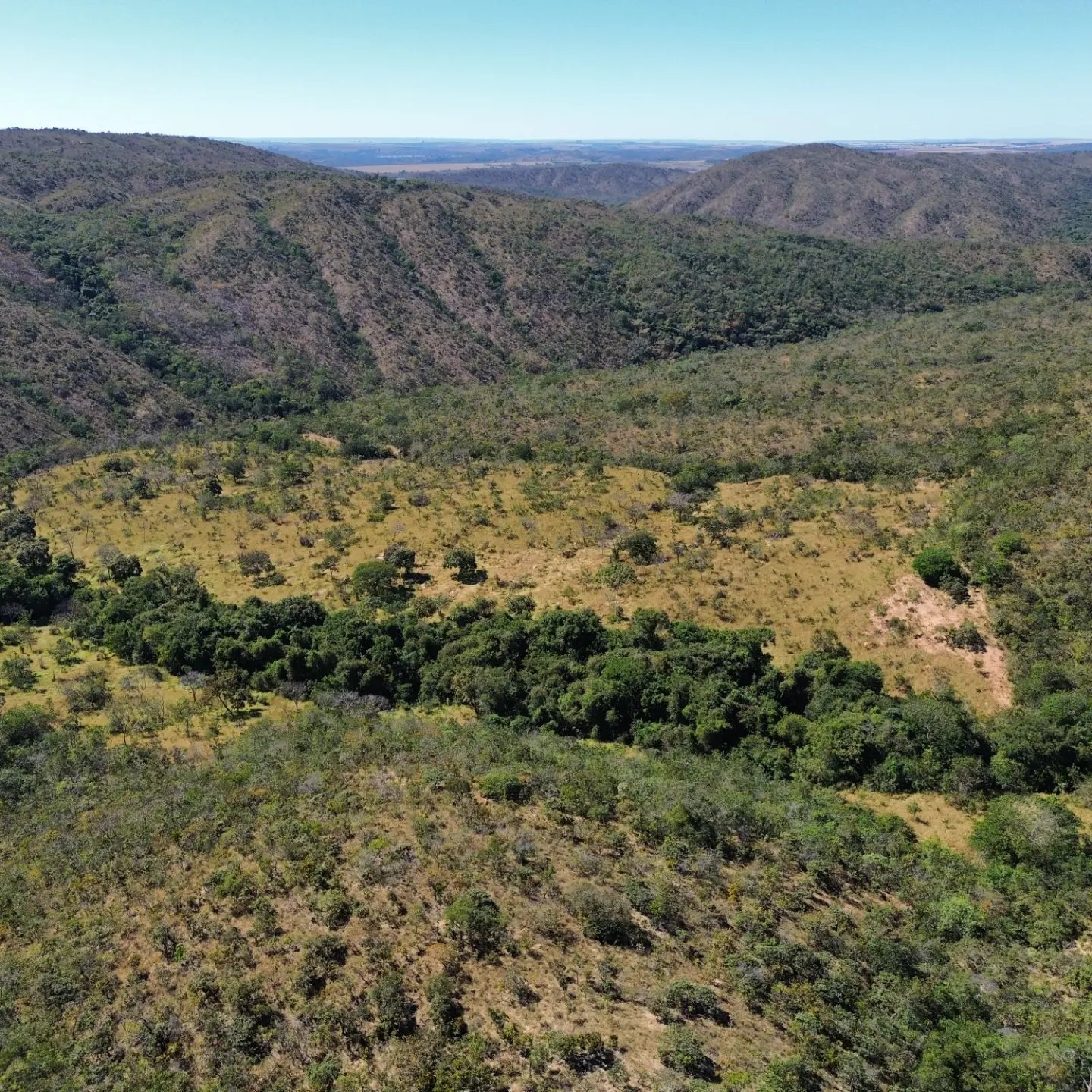 terra para criação de gado à venda | davinópolis/go | Davinópolis-GO | 26,62 hectares — foto 9