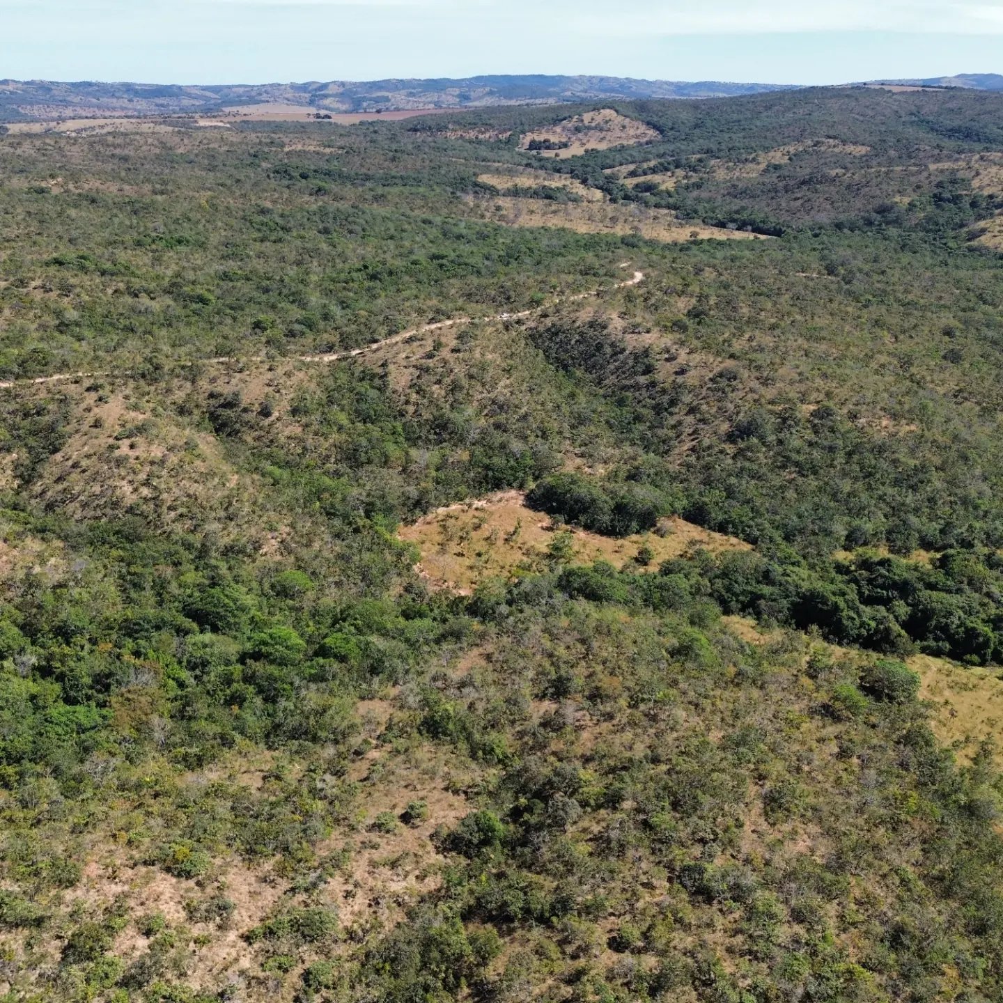 terra para criação de gado à venda | davinópolis/go | Davinópolis-GO | 26,62 hectares — foto 10