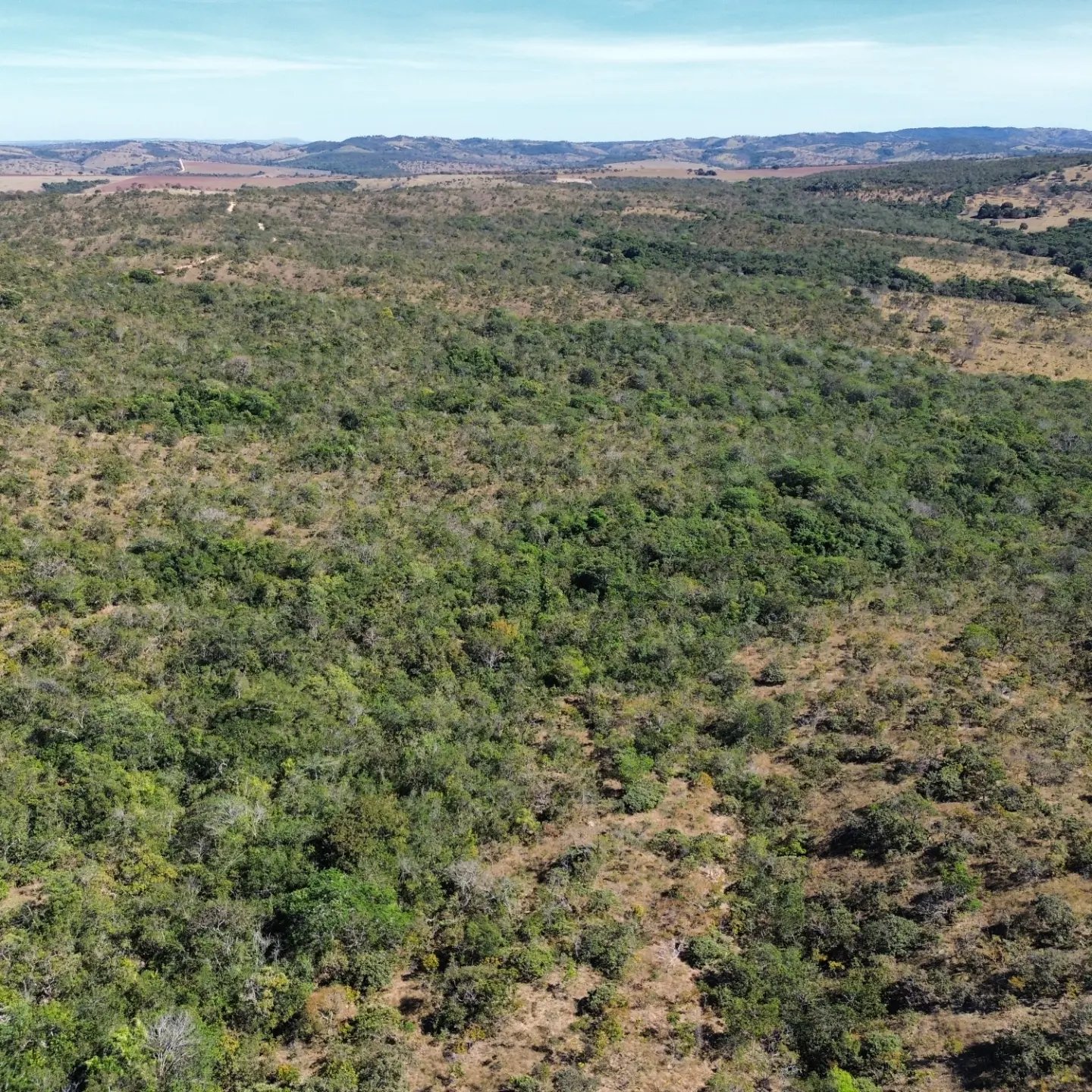 terra para criação de gado à venda | davinópolis/go | Davinópolis-GO | 26,62 hectares — foto 11