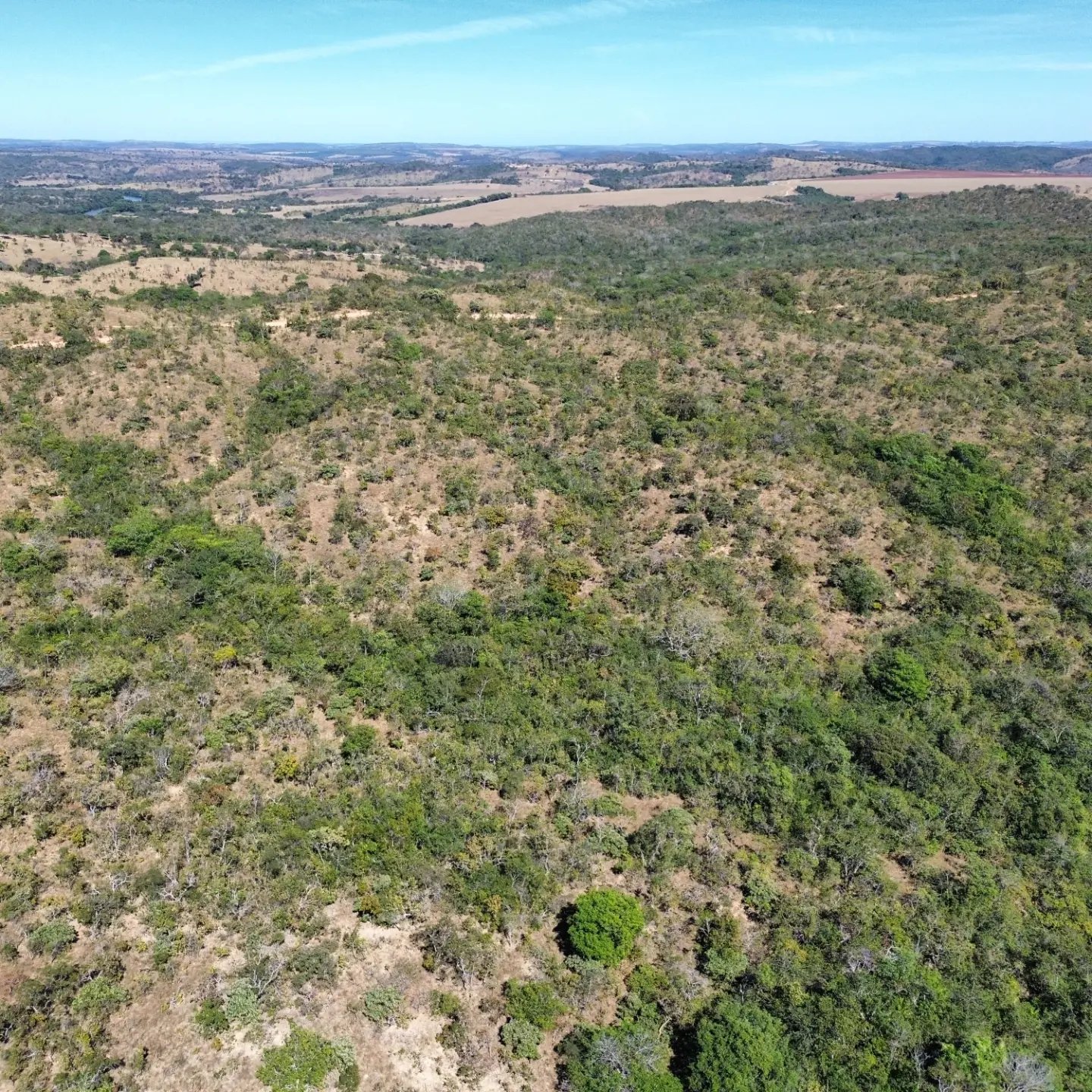 terra para criação de gado à venda | davinópolis/go | Davinópolis-GO | 26,62 hectares — foto 12