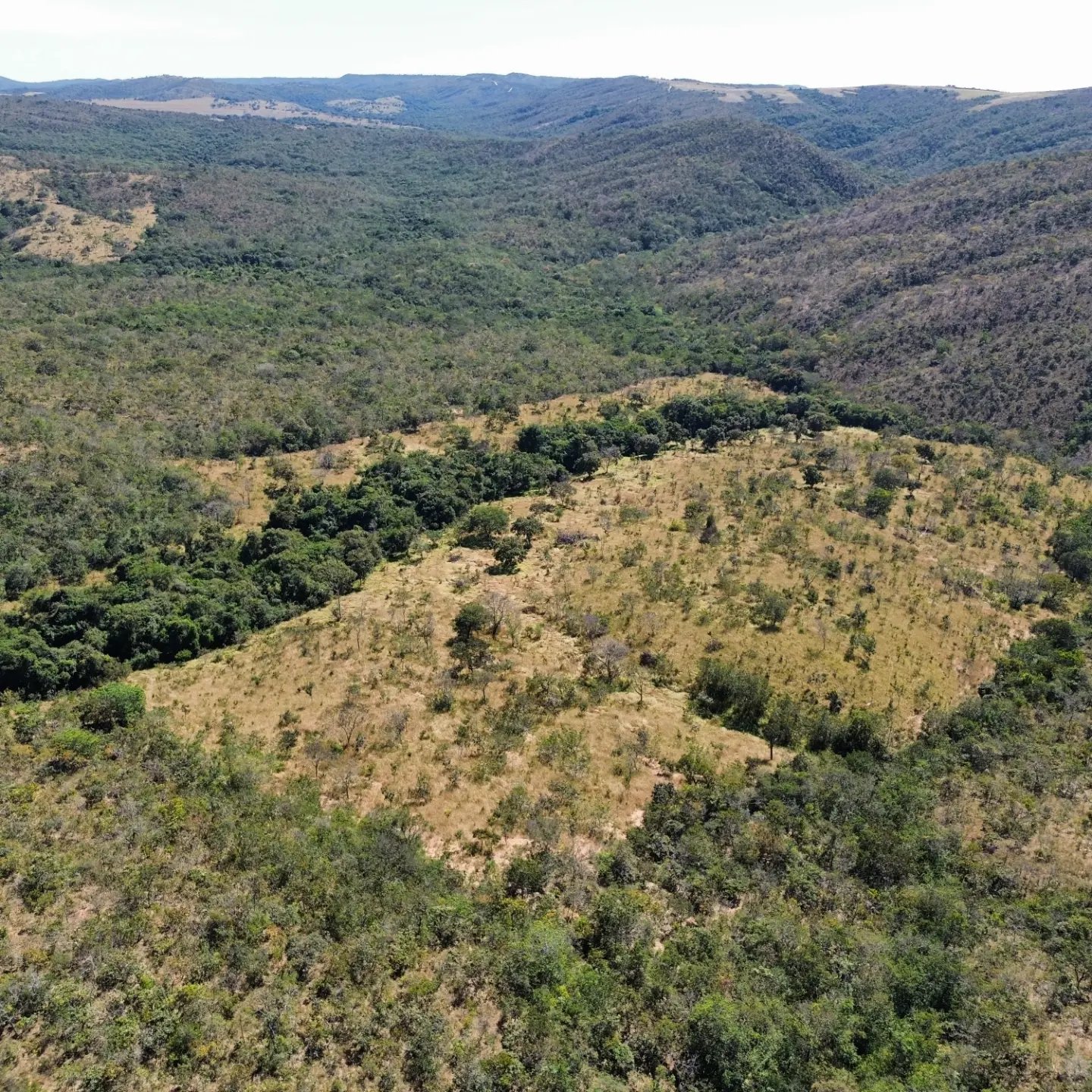 terra para criação de gado à venda | davinópolis/go | Davinópolis-GO | 26,62 hectares — foto 13