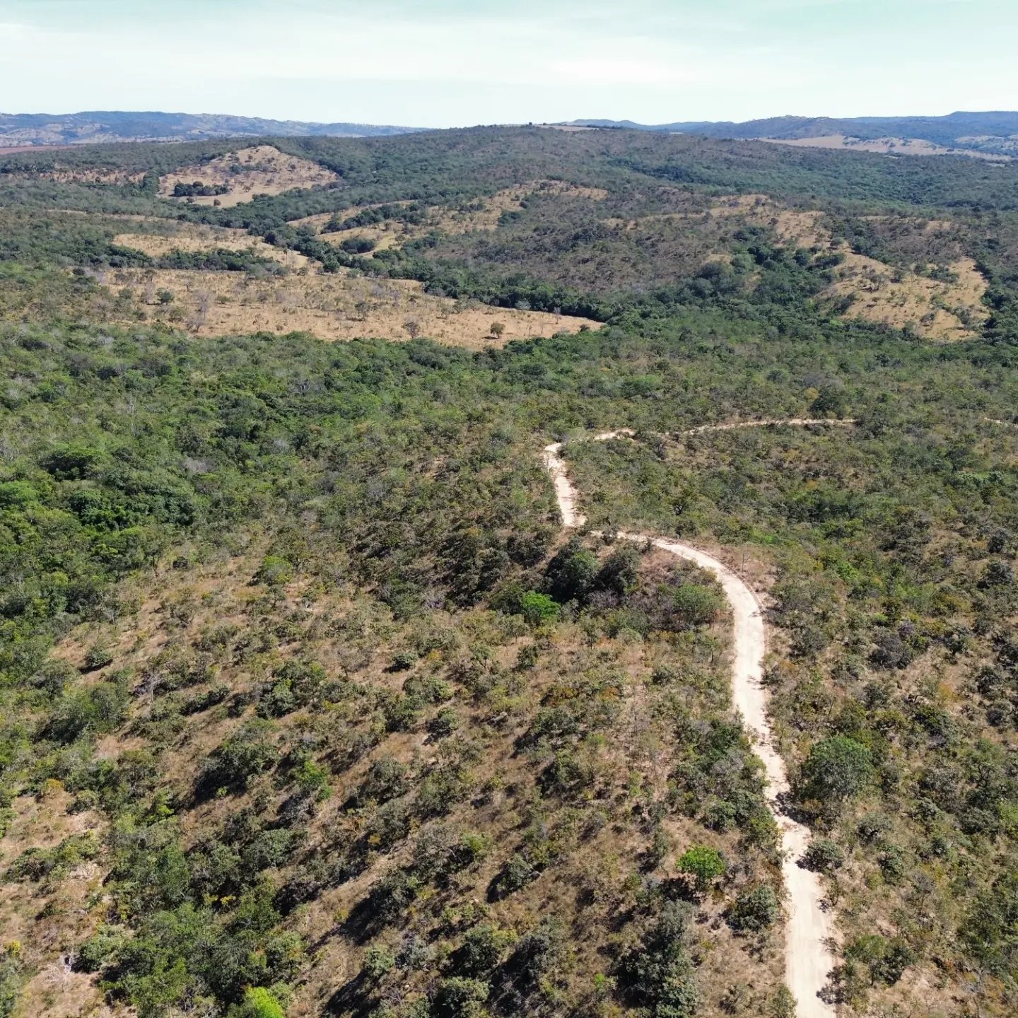 terra para criação de gado à venda | davinópolis/go | Davinópolis-GO | 26,62 hectares — foto 14