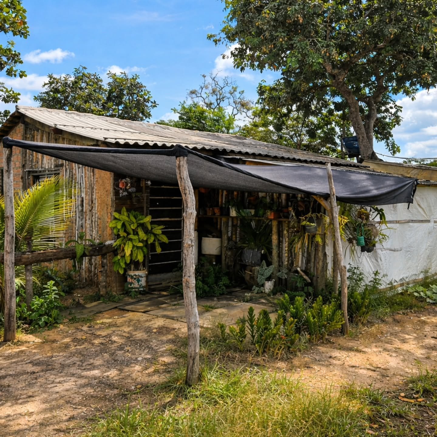 OPORTUNIDADE ÚNICA À BEIRA DO RIO SÃO MARCOS | Davinópolis-GO | 16,94 hectares — foto 7