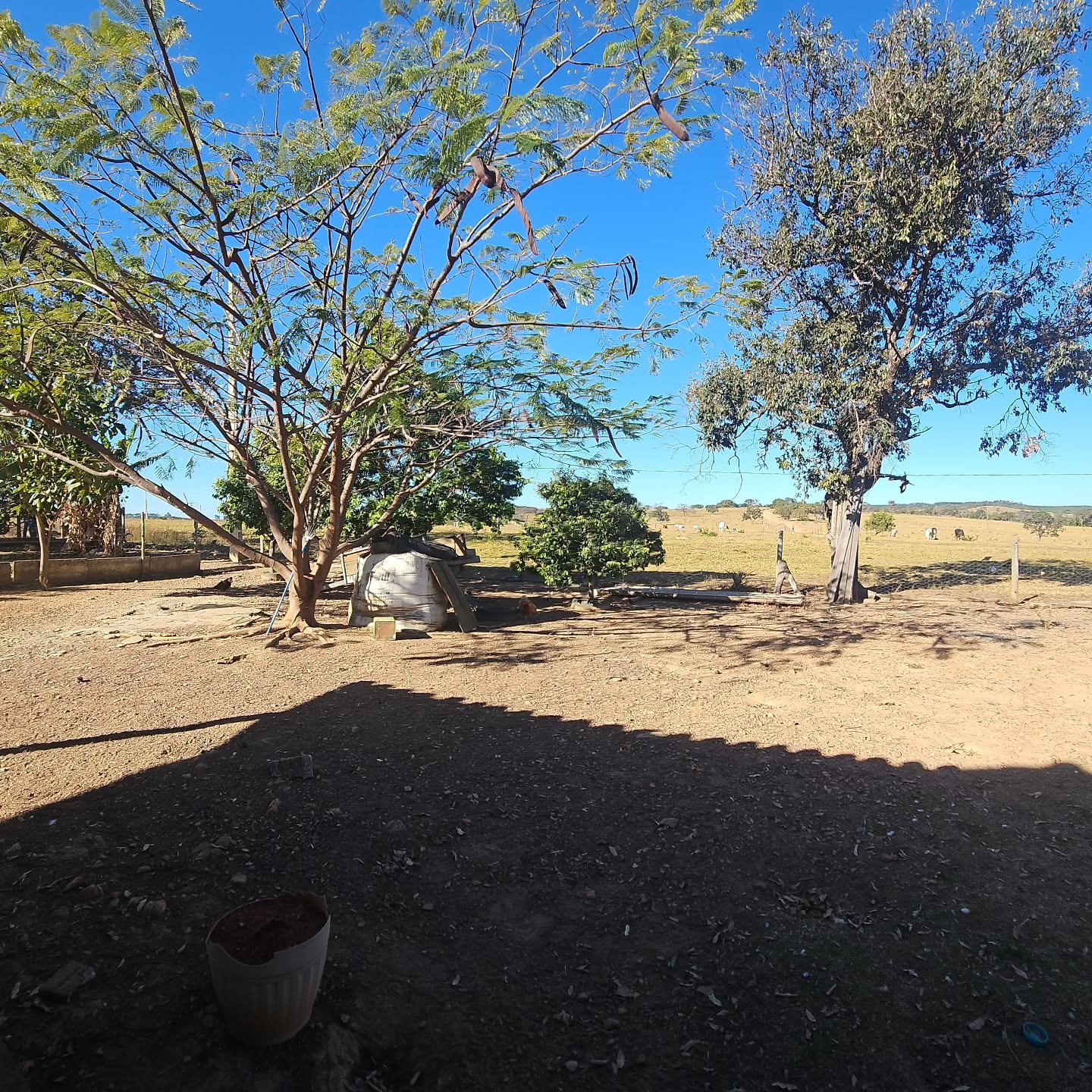 CHÁCARA À VENDA EM CATALÃO/GO | Catalão-GO | 6,3 hectares — foto 1