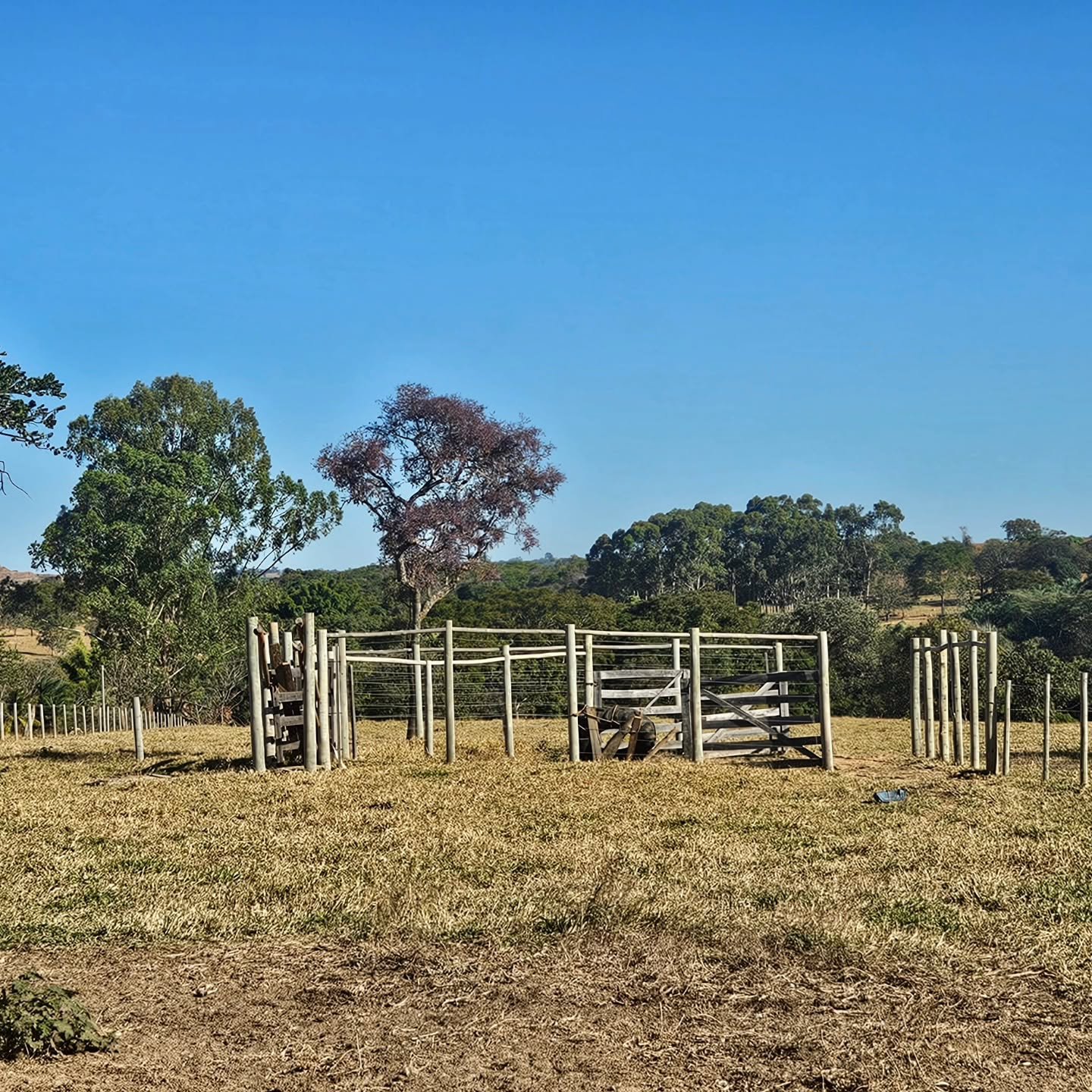 CHÁCARA À VENDA EM CATALÃO/GO | Catalão-GO | 6,3 hectares — foto 3