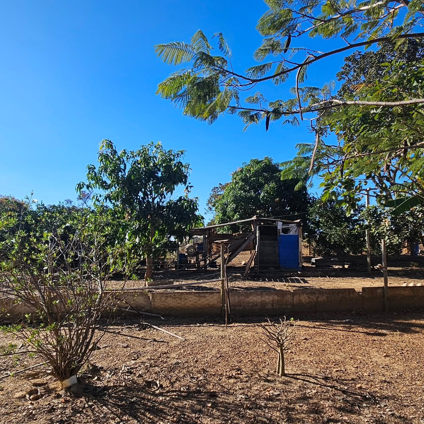 CHÁCARA À VENDA EM CATALÃO/GO | Catalão-GO | 6,3 hectares — foto 4