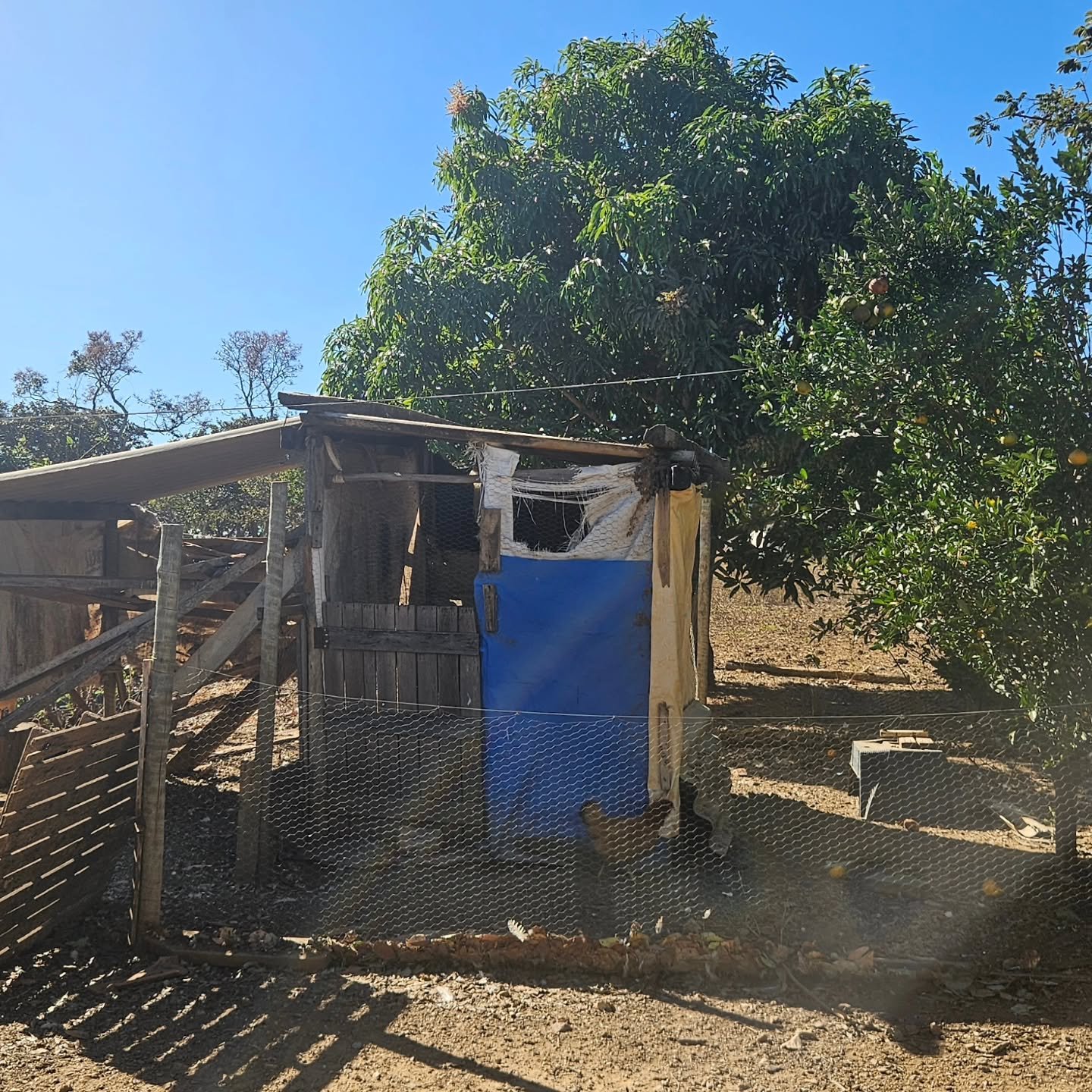 CHÁCARA À VENDA EM CATALÃO/GO | Catalão-GO | 6,3 hectares — foto 6