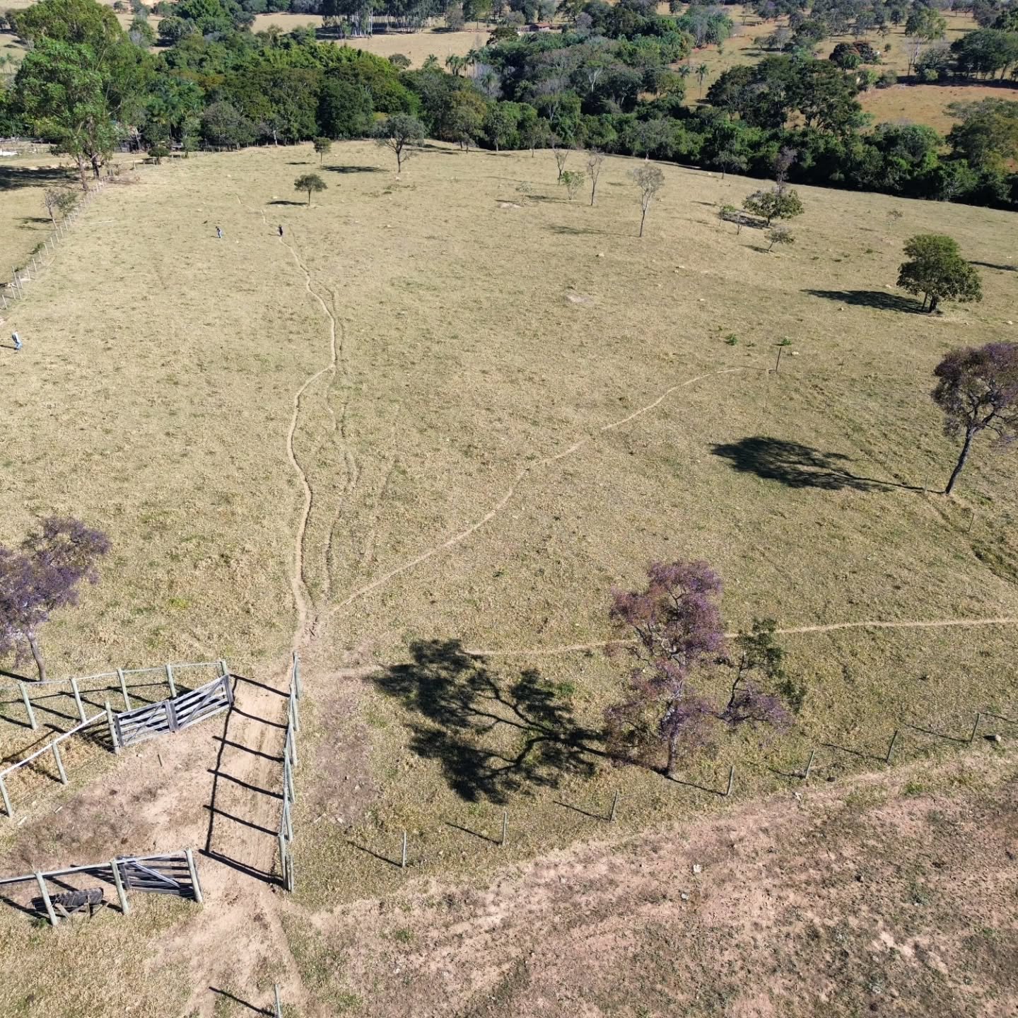 CHÁCARA À VENDA EM CATALÃO/GO | Catalão-GO | 6,3 hectares — foto 7