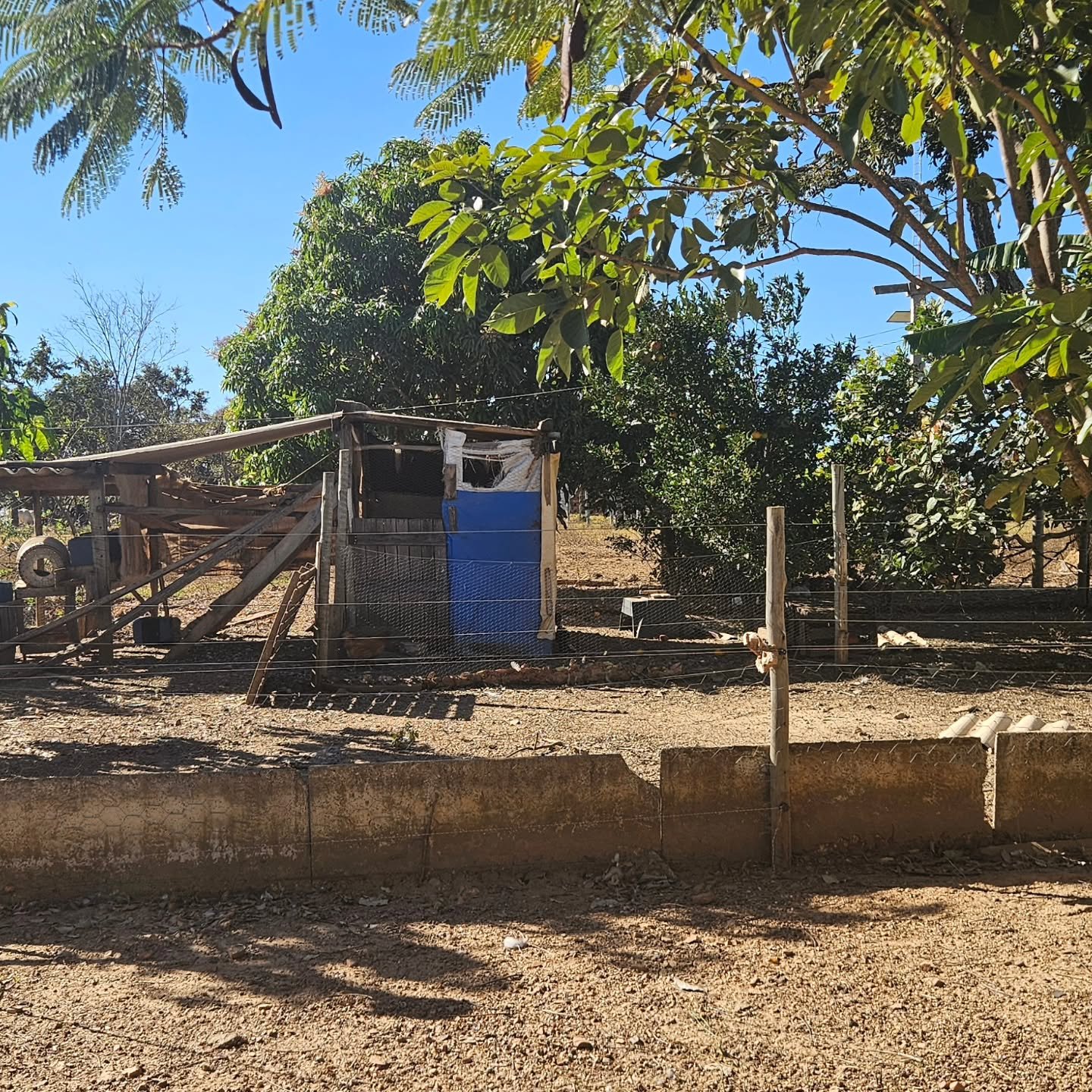 CHÁCARA À VENDA EM CATALÃO/GO | Catalão-GO | 6,3 hectares — foto 8