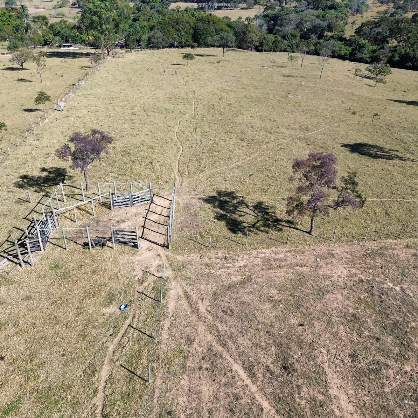CHÁCARA À VENDA EM CATALÃO/GO | Catalão-GO | 6,3 hectares — foto 10