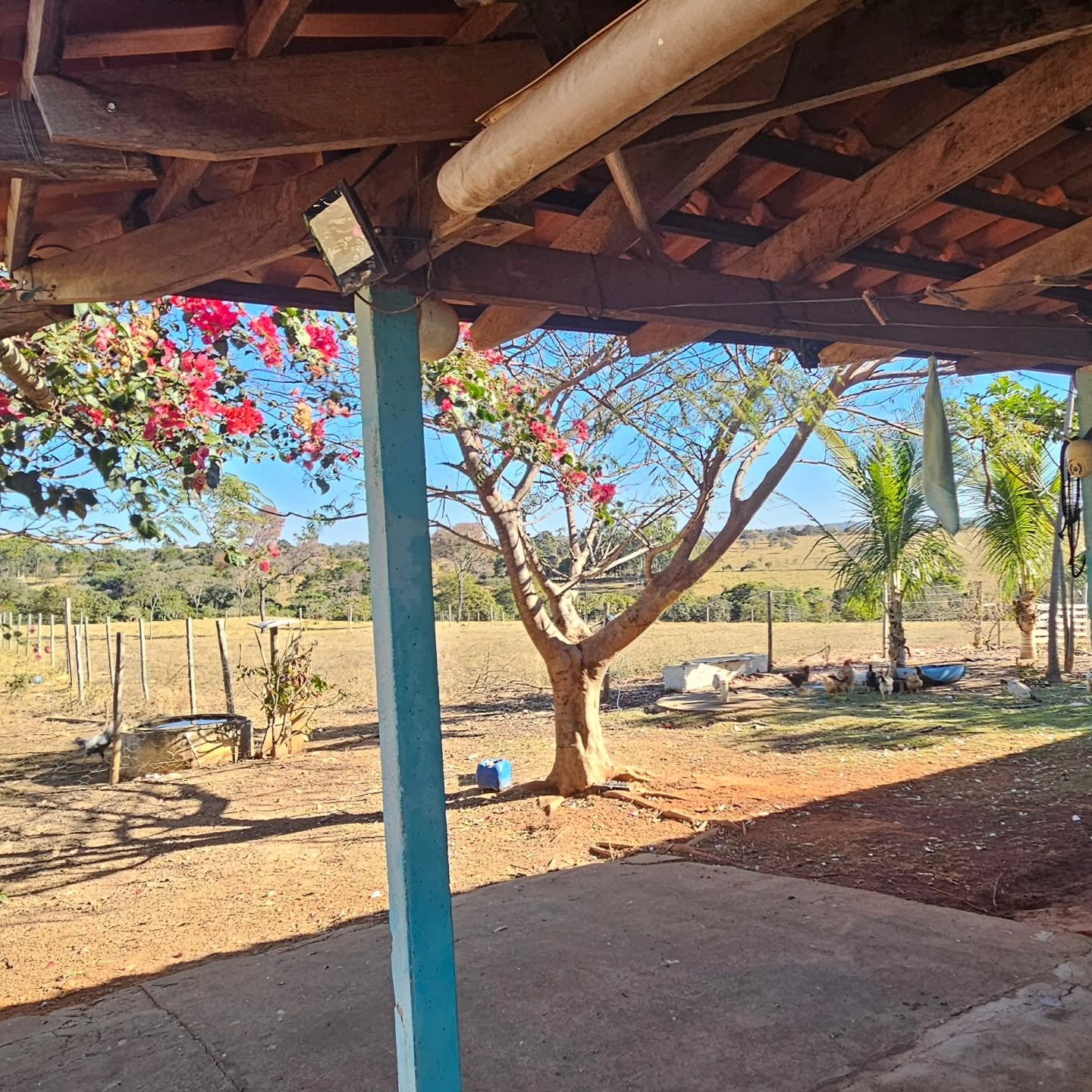 CHÁCARA À VENDA EM CATALÃO/GO | Catalão-GO | 6,3 hectares — foto 11