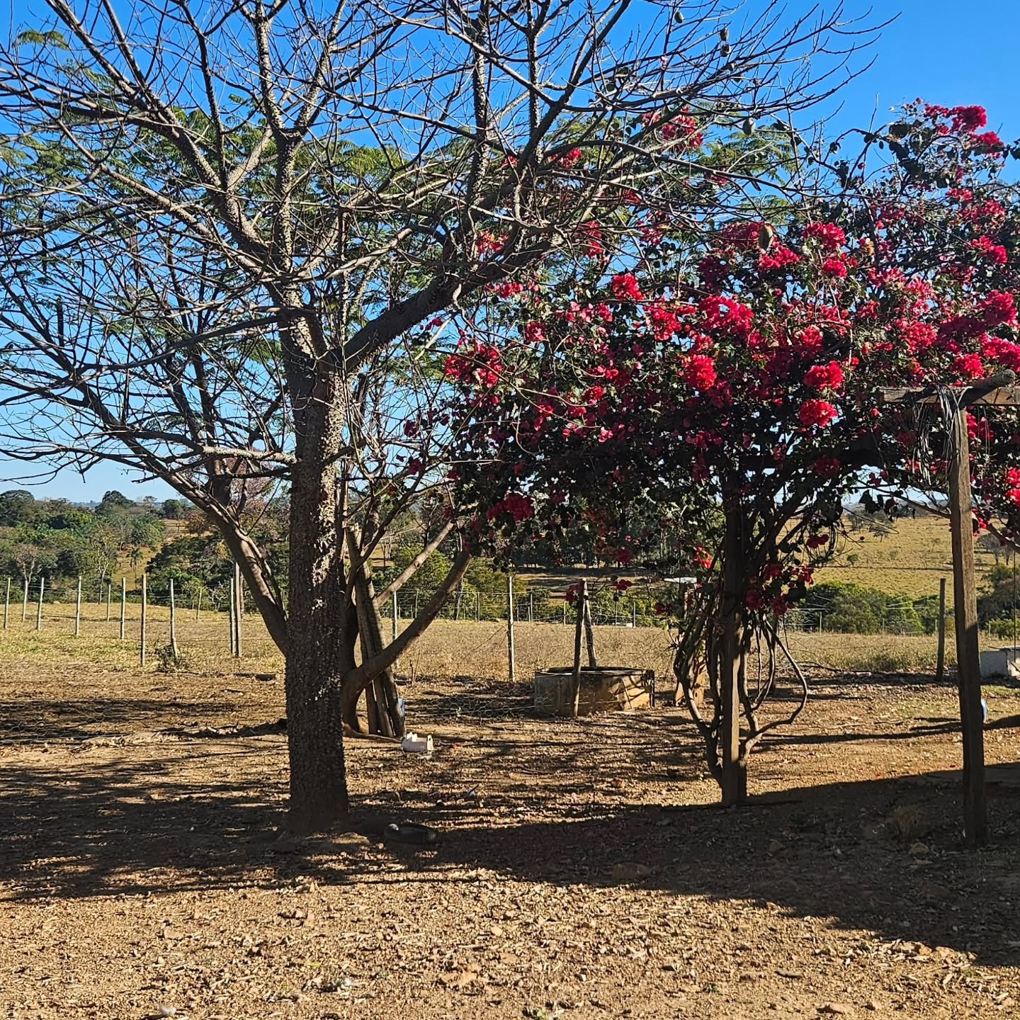 CHÁCARA À VENDA EM CATALÃO/GO | Catalão-GO | 6,3 hectares — foto 13