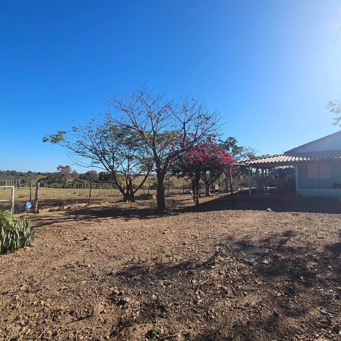 CHÁCARA À VENDA EM CATALÃO/GO | Catalão-GO | 6,3 hectares — foto 14