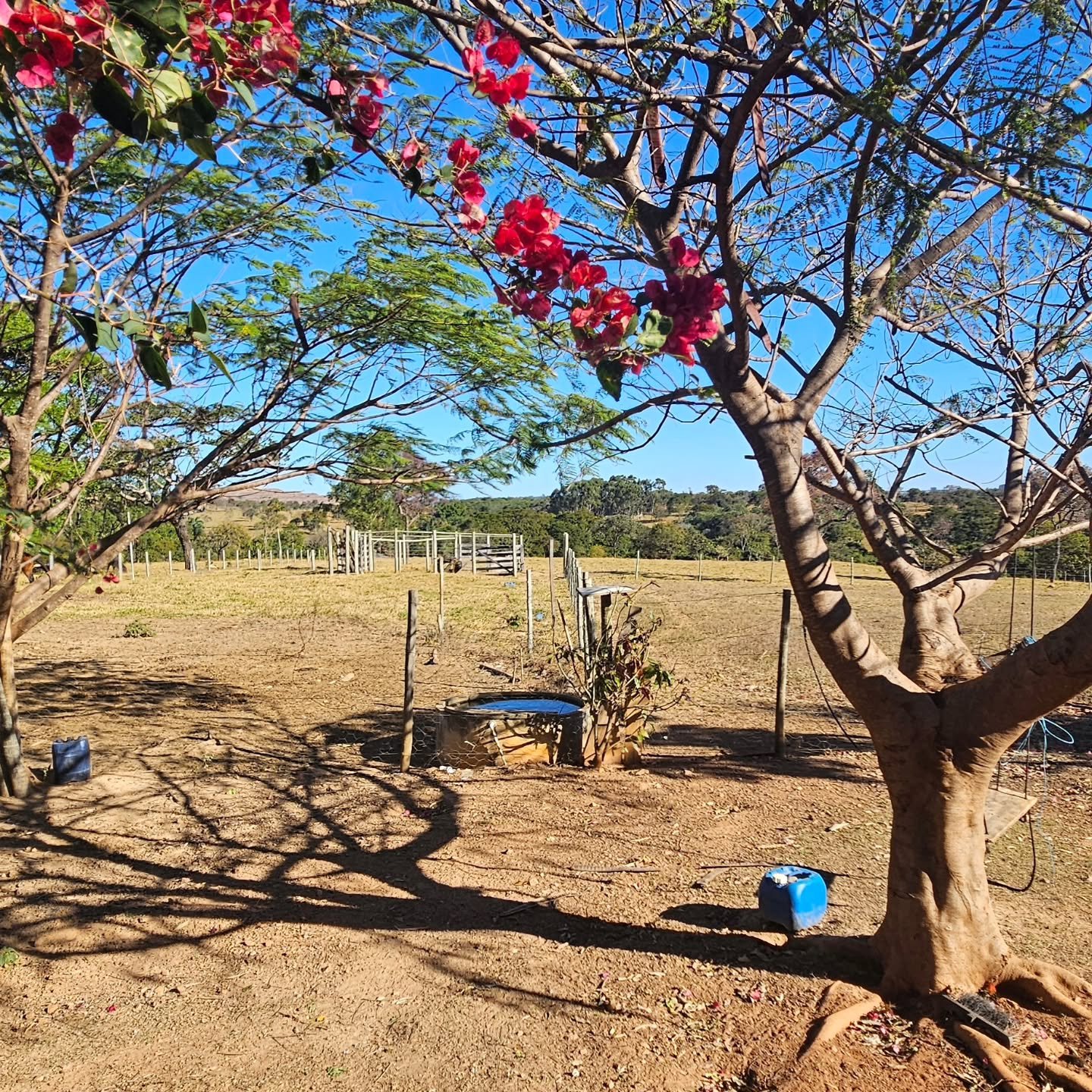 CHÁCARA À VENDA EM CATALÃO/GO | Catalão-GO | 6,3 hectares — foto 15