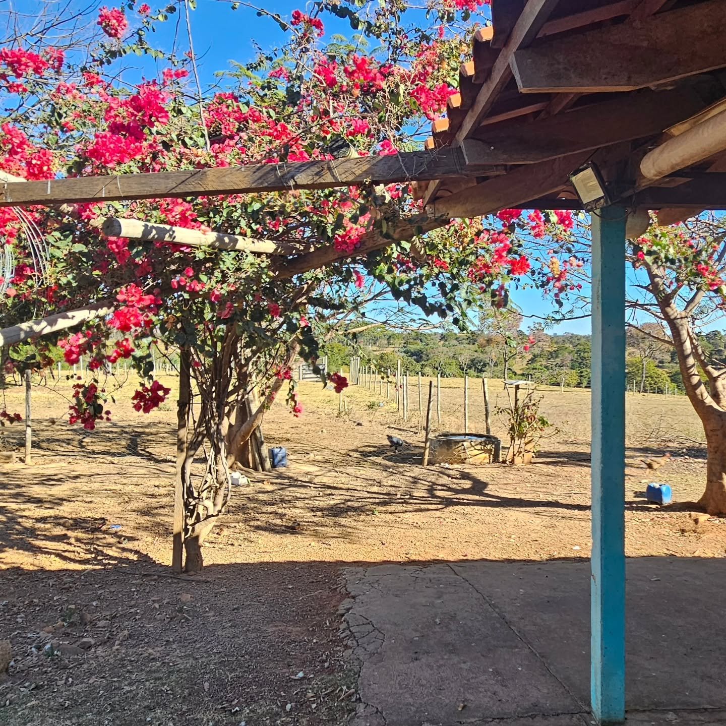 CHÁCARA À VENDA EM CATALÃO/GO | Catalão-GO | 6,3 hectares — foto 17