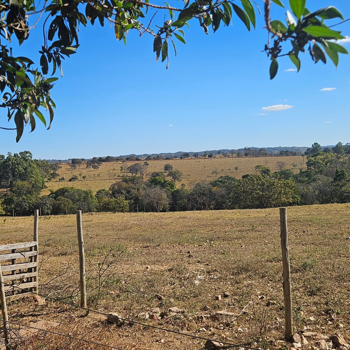 CHÁCARA À VENDA EM CATALÃO/GO | Catalão-GO | 6,3 hectares — foto 19