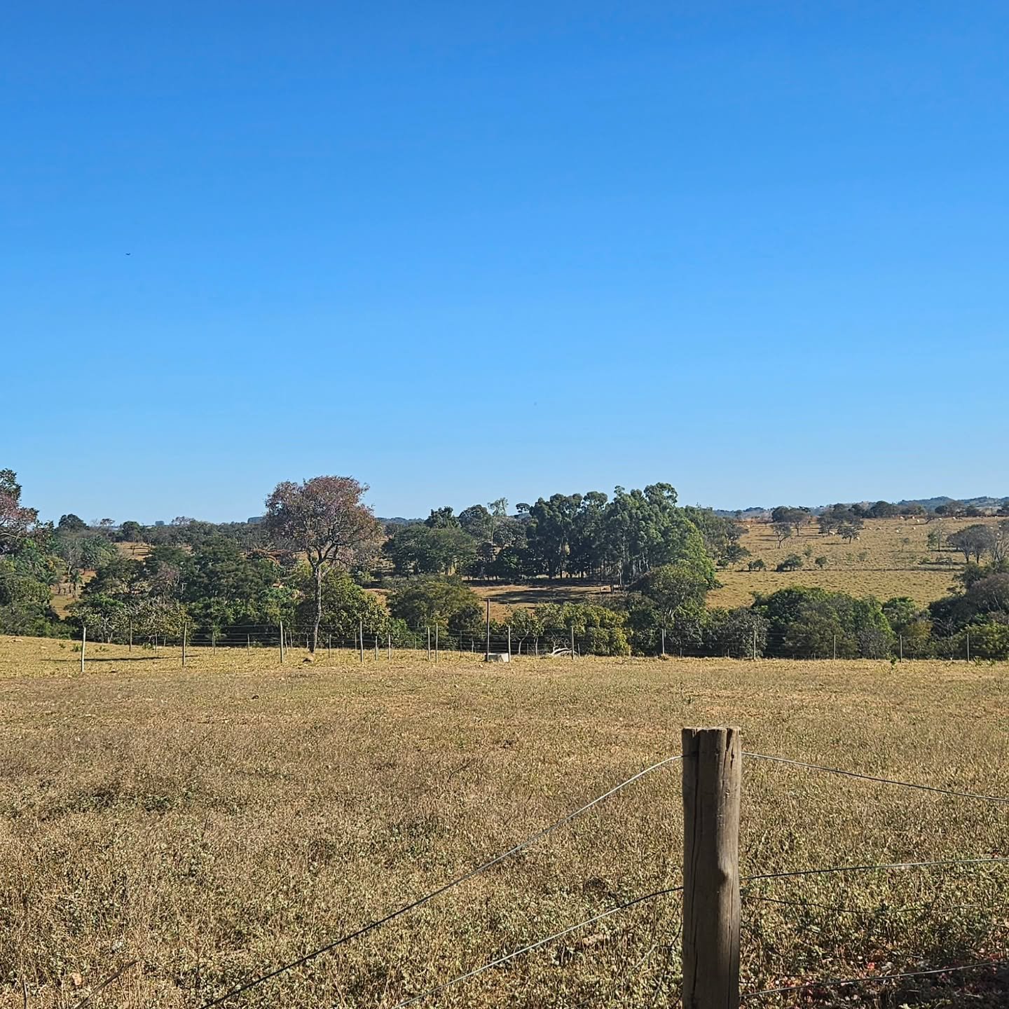 CHÁCARA À VENDA EM CATALÃO/GO | Catalão-GO | 6,3 hectares — foto 20
