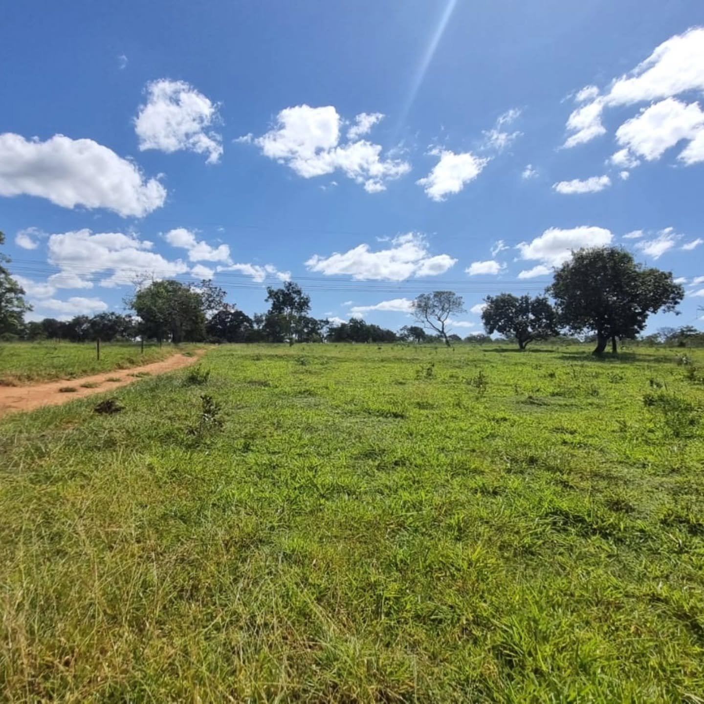 CHÁCARA À VENDA – OUVIDOR/GO | Catalão-GO | 9 hectares — foto 1