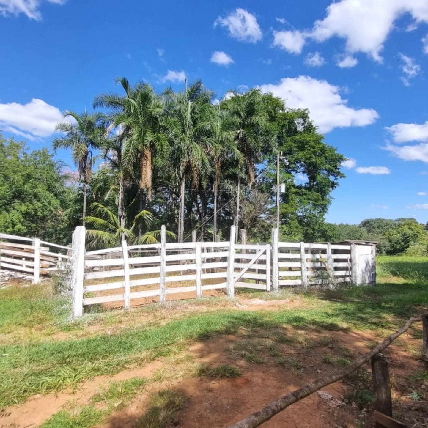 CHÁCARA À VENDA – OUVIDOR/GO | Catalão-GO | 9 hectares — foto 2