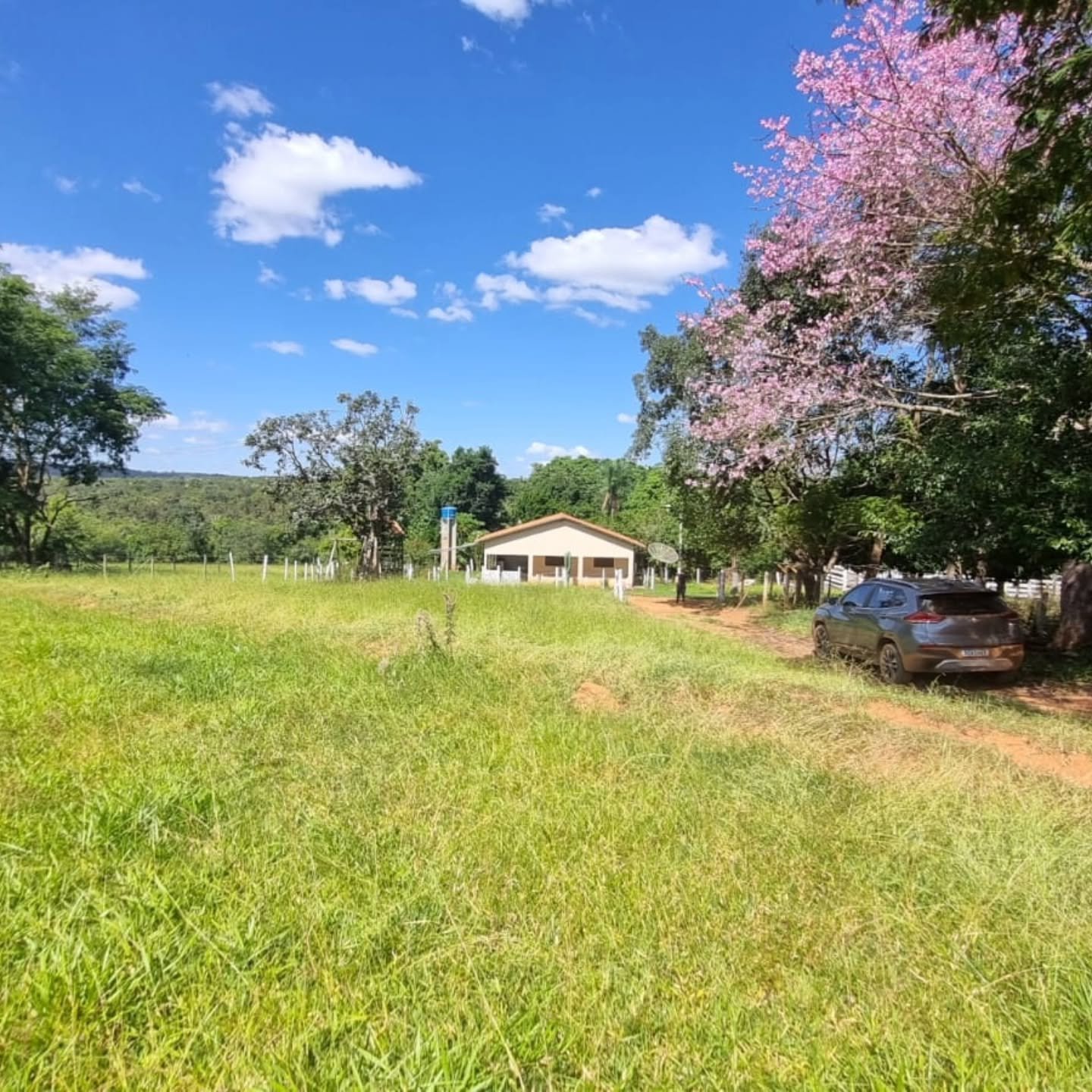CHÁCARA À VENDA – OUVIDOR/GO | Catalão-GO | 9 hectares — foto 3