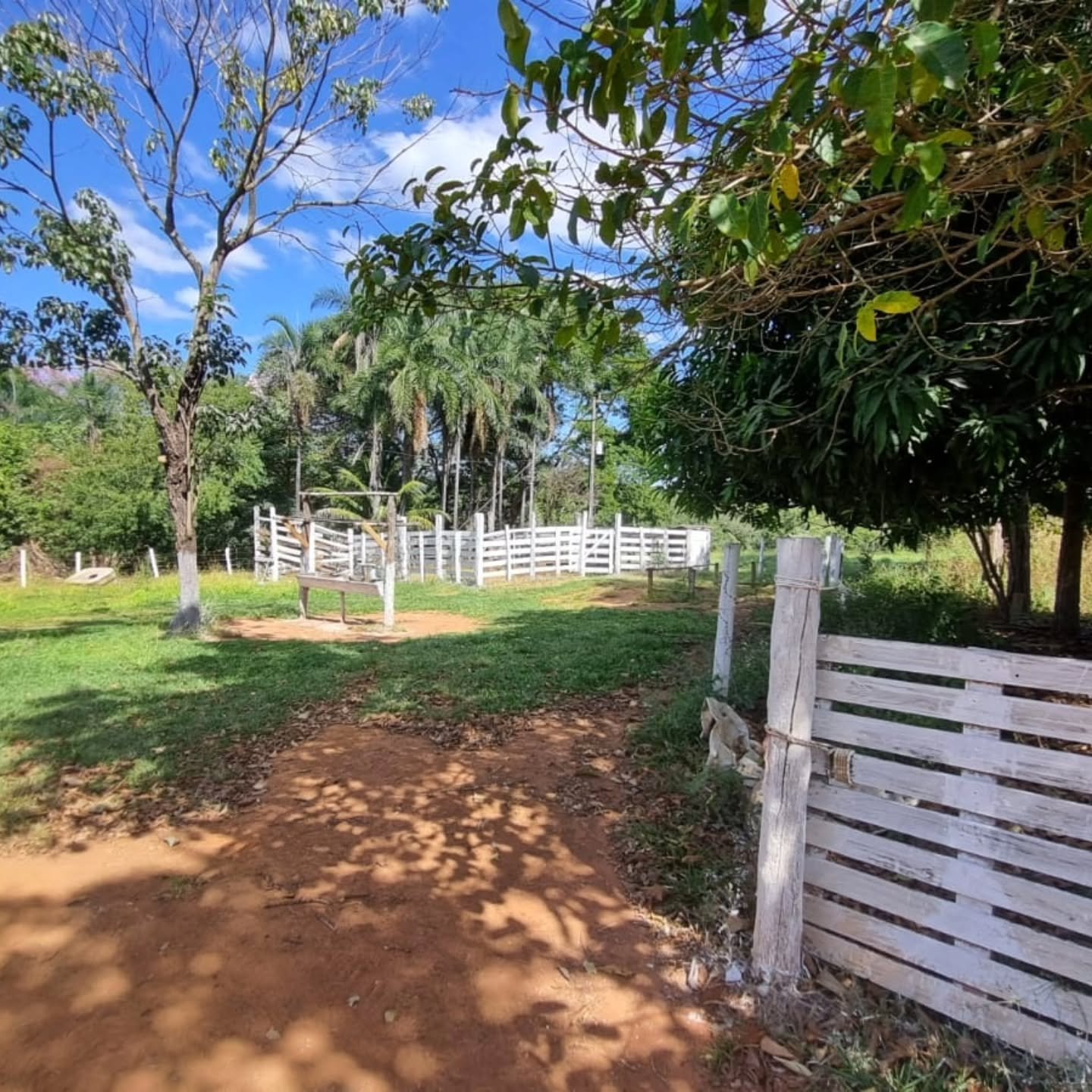 CHÁCARA À VENDA – OUVIDOR/GO | Catalão-GO | 9 hectares — foto 4