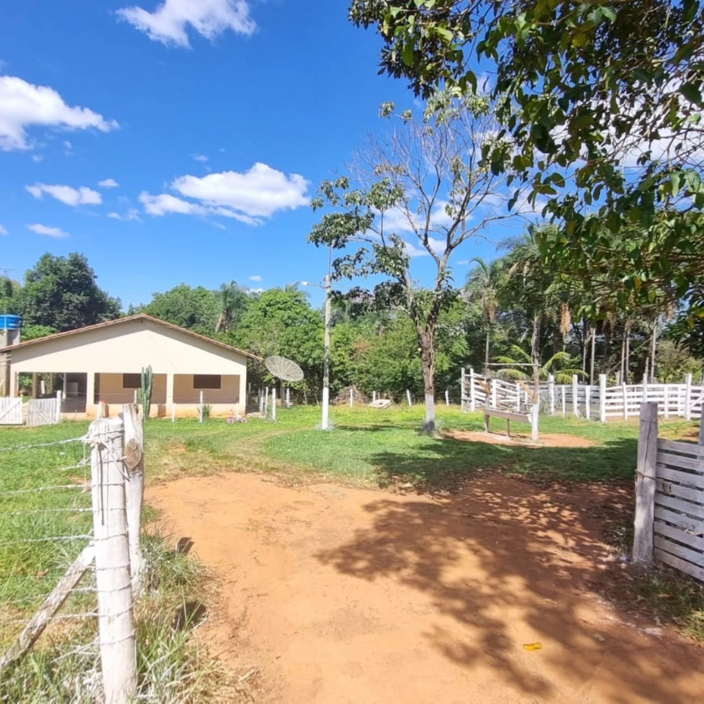 CHÁCARA À VENDA – OUVIDOR/GO | Catalão-GO | 9 hectares — foto 8