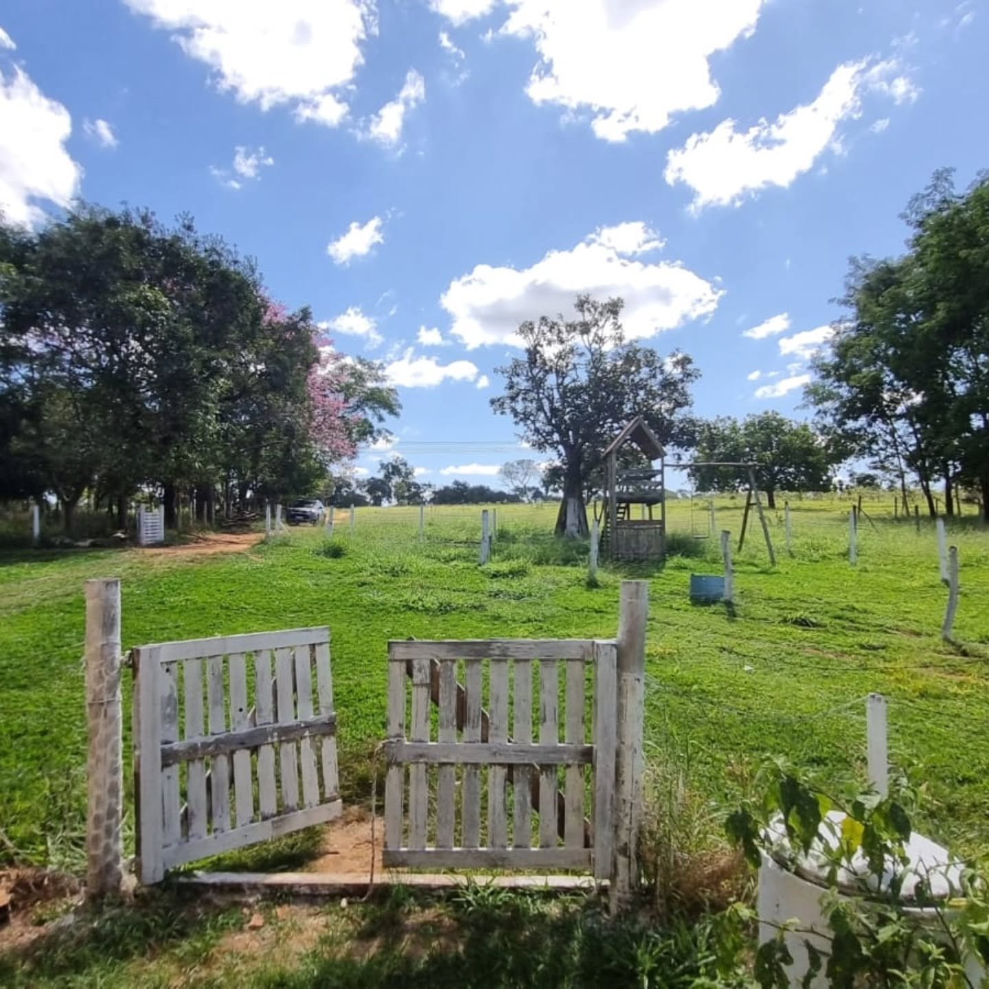 CHÁCARA À VENDA – OUVIDOR/GO | Catalão-GO | 9 hectares — foto 12
