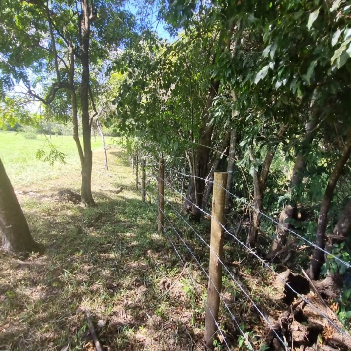 CHÁCARA À VENDA – OUVIDOR/GO | Catalão-GO | 9 hectares — foto 13