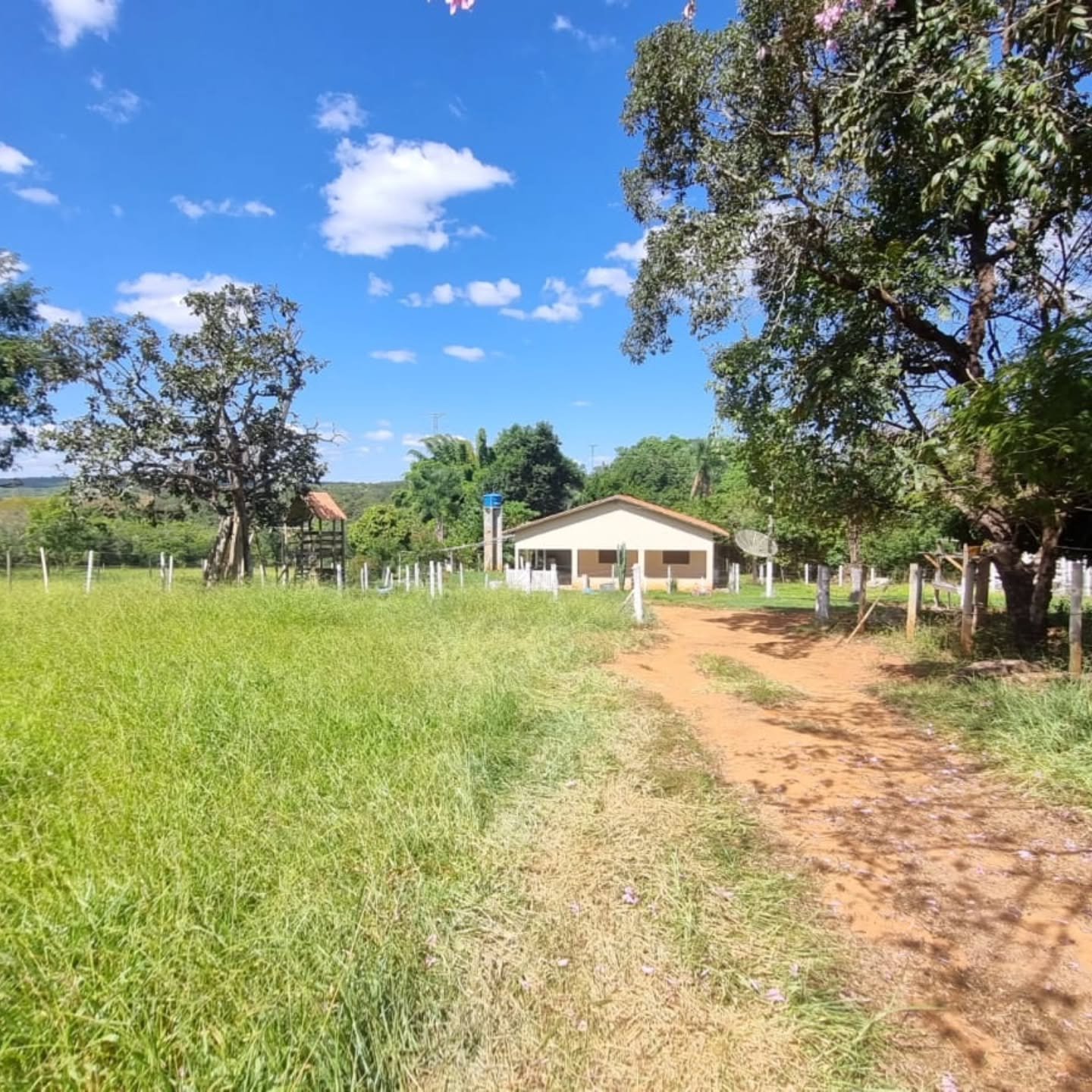 CHÁCARA À VENDA – OUVIDOR/GO | Catalão-GO | 9 hectares — foto 14