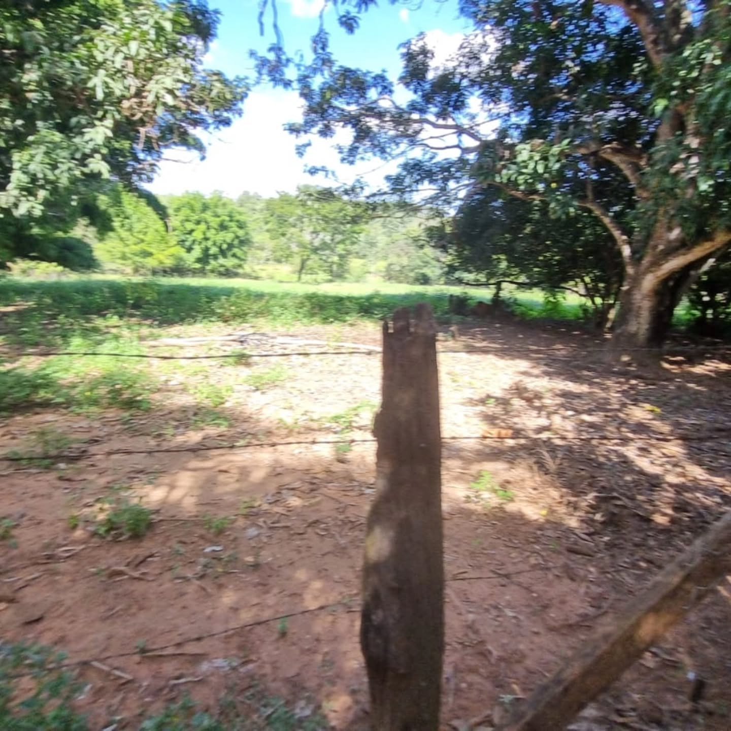 CHÁCARA À VENDA – OUVIDOR/GO | Catalão-GO | 9 hectares — foto 15