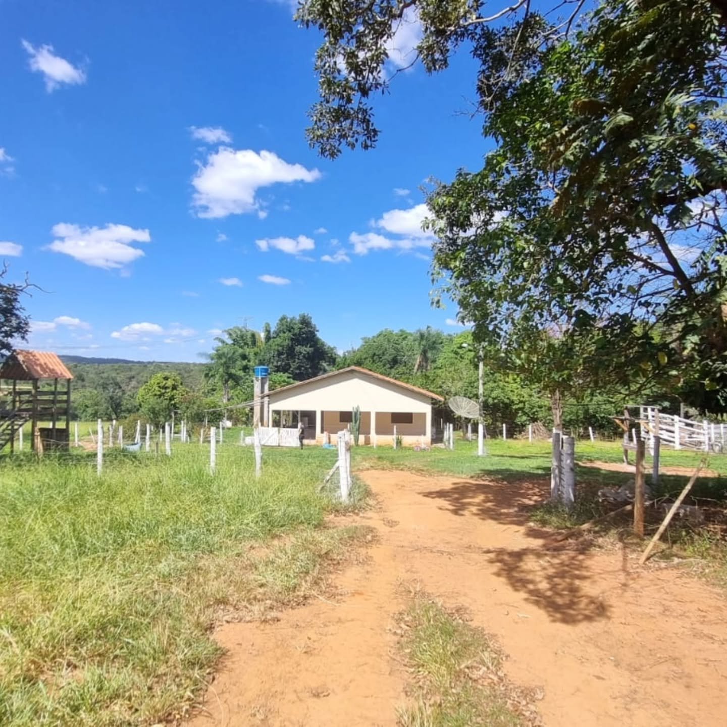CHÁCARA À VENDA – OUVIDOR/GO | Catalão-GO | 9 hectares — foto 17