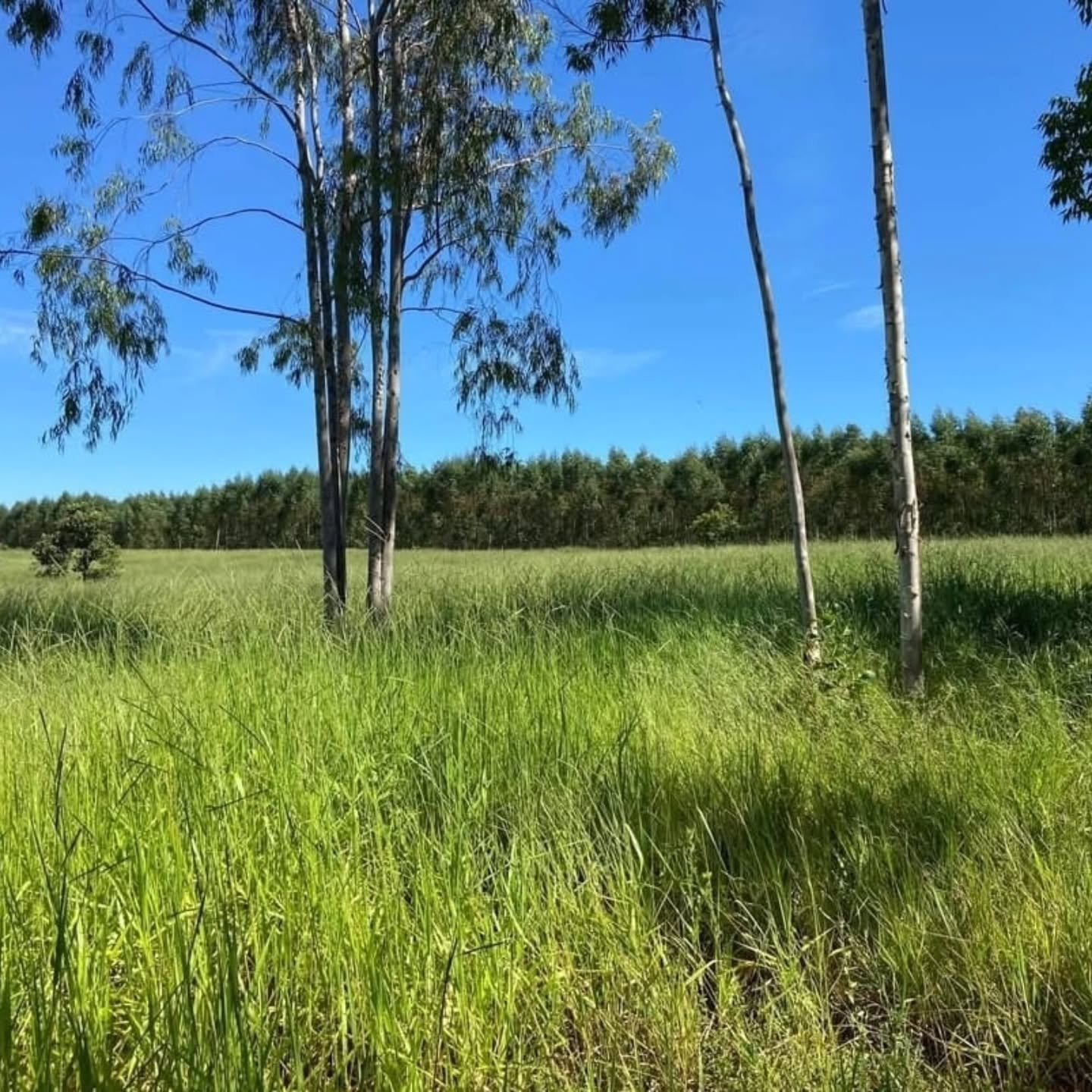 Propriedade rural à venda | 10,41 hectares — foto 1