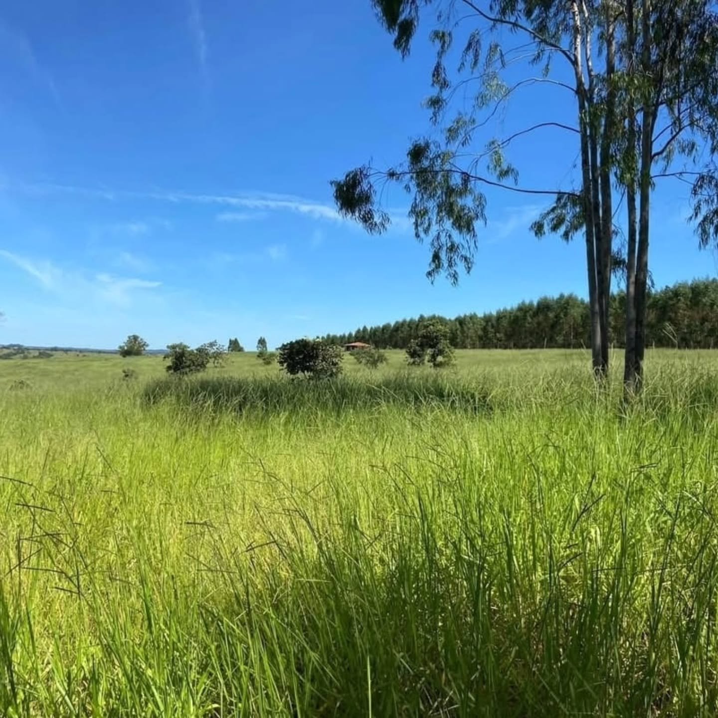 Propriedade rural à venda | 10,41 hectares — foto 3