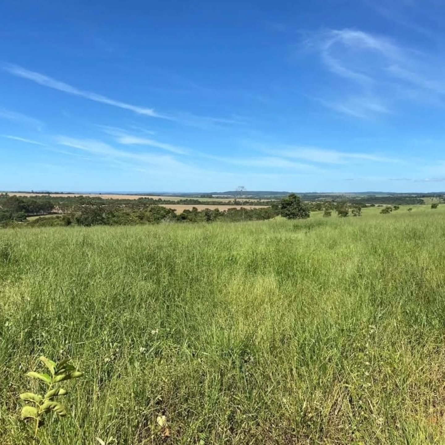 Propriedade rural à venda | 10,41 hectares — foto 6
