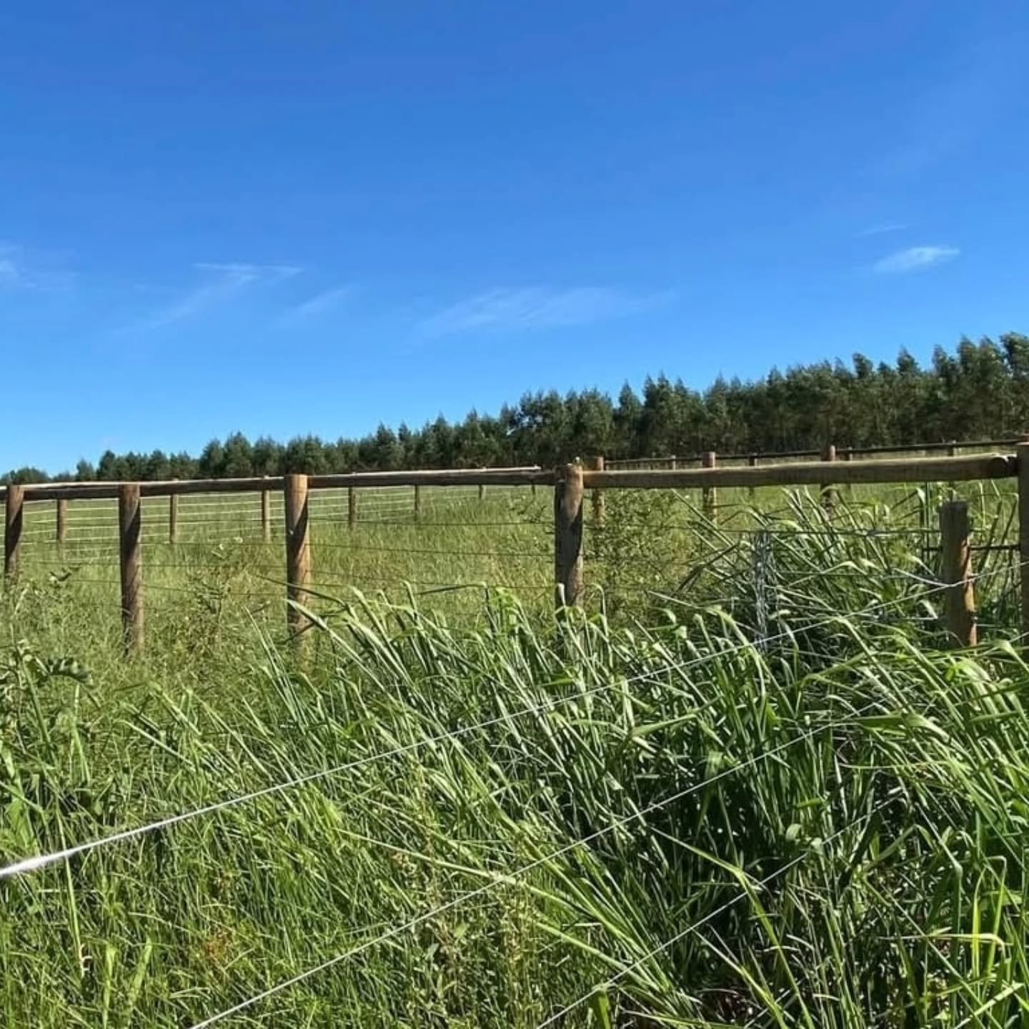 Propriedade rural à venda | 10,41 hectares — foto 7