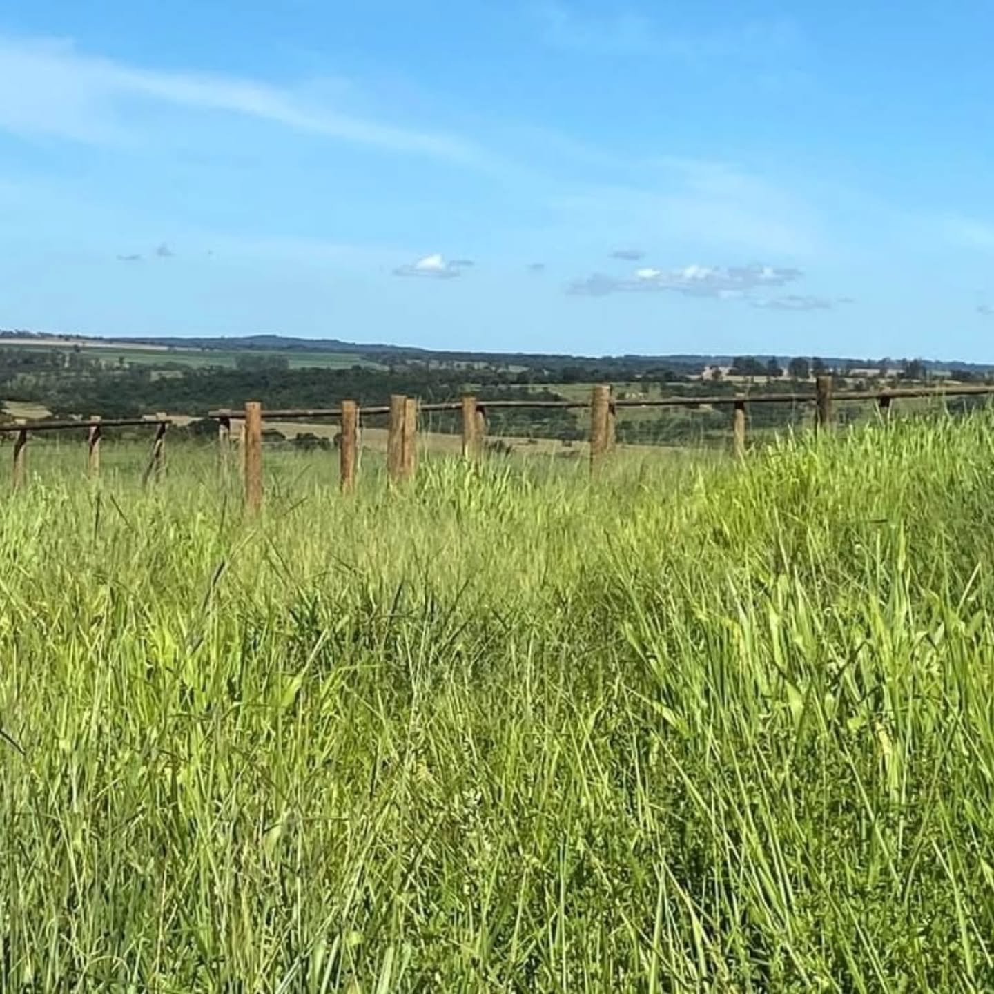 Propriedade rural à venda | 10,41 hectares — foto 8