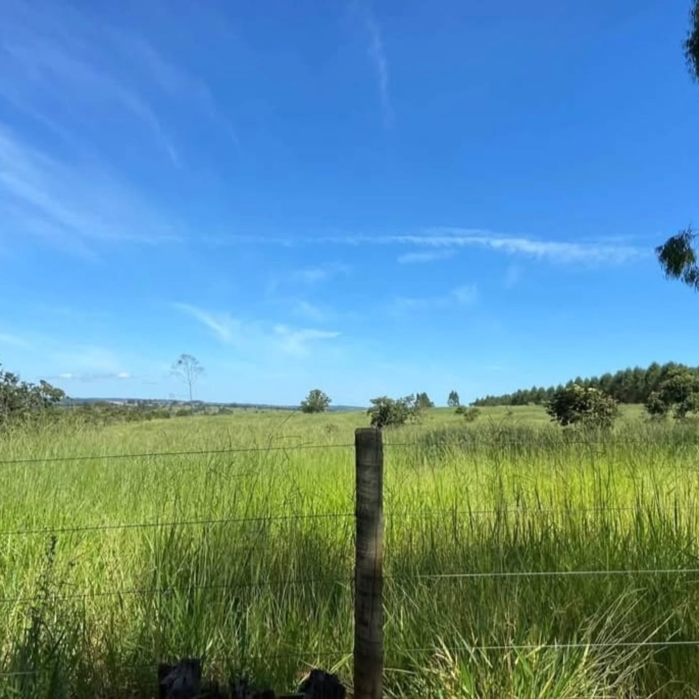 Propriedade rural à venda | 10,41 hectares — foto 10